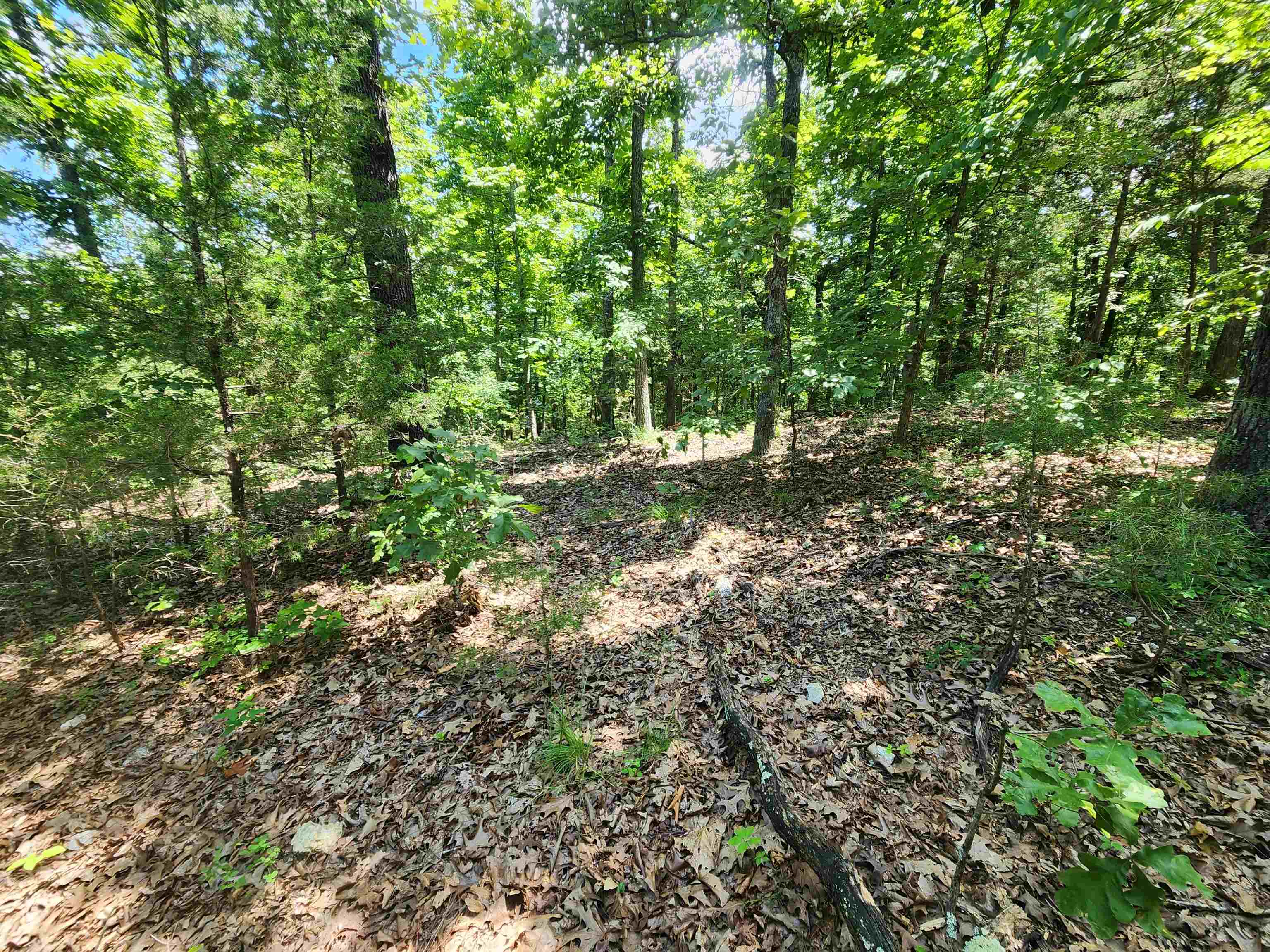 Cherokee Village - Land