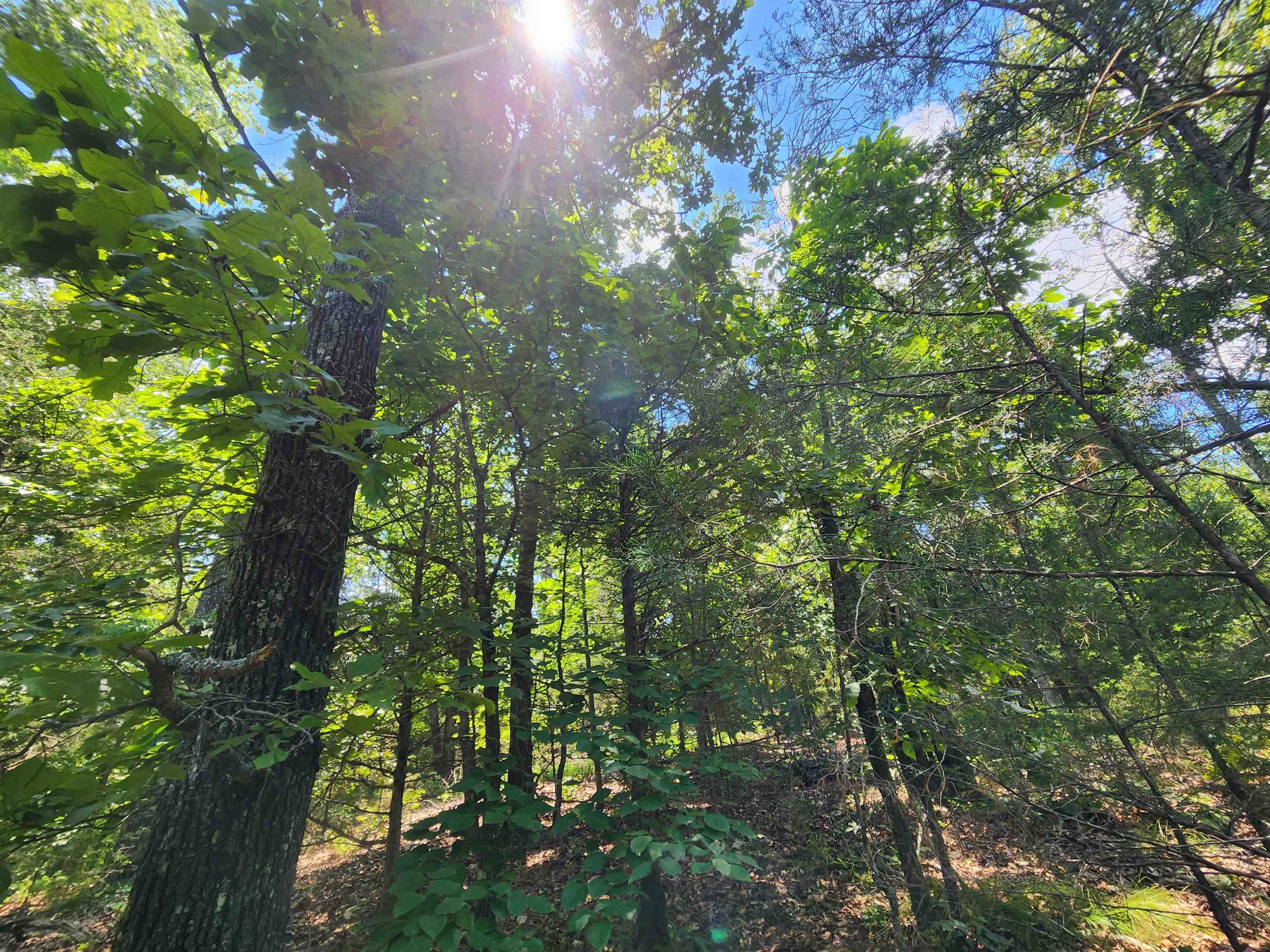 Cherokee Village - Land