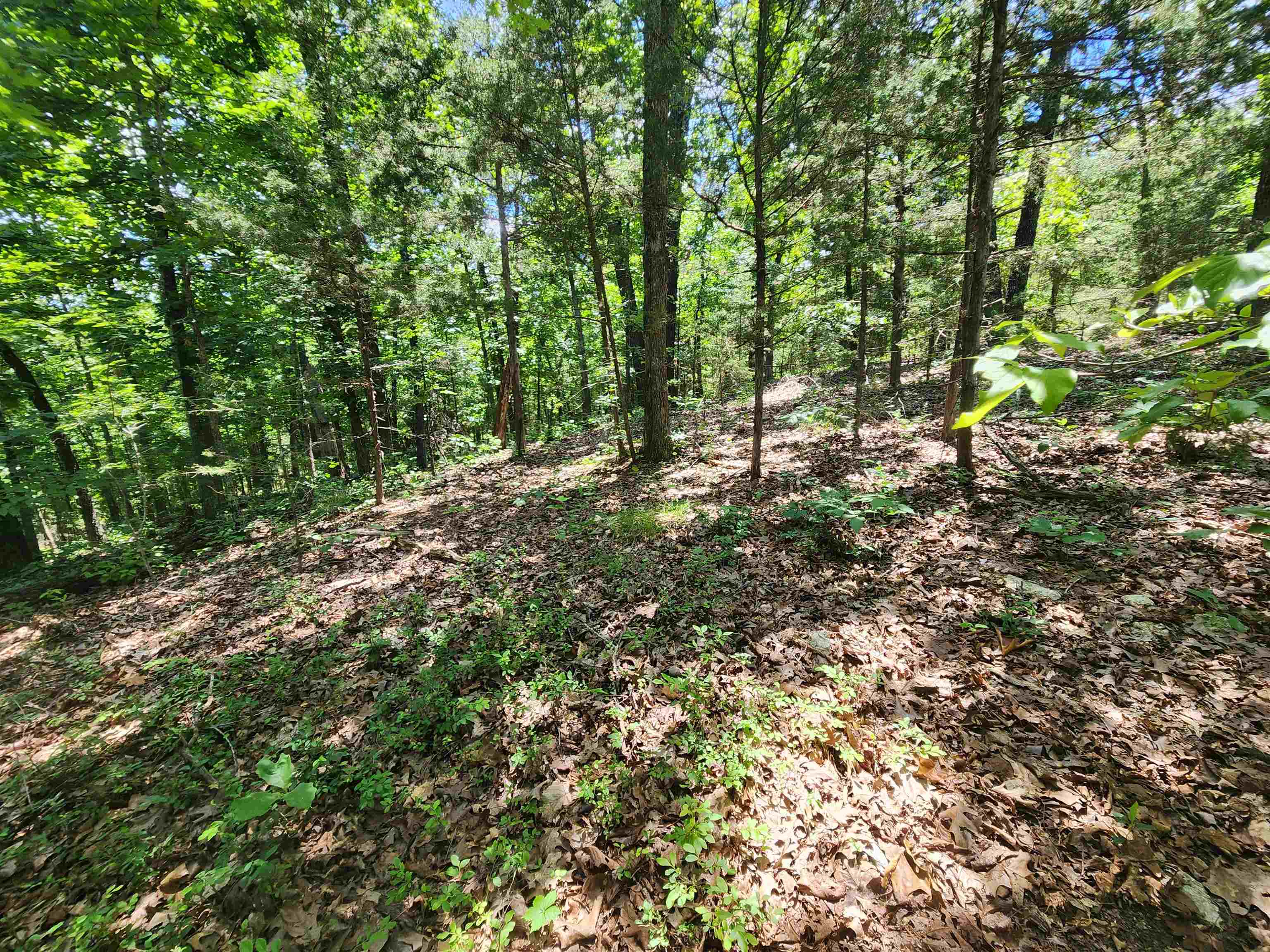 Cherokee Village - Land