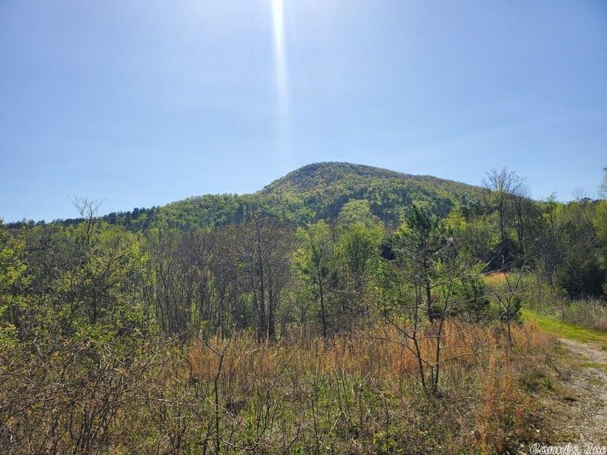 Beautiful tracts in the heart of Shady! Joins National Forest. 1/8 mile from 4 wheeler trails! Easement to property.  Taxes are estimated.   Six  9+ acre tracts for 162,900.  Two 5+ acre tracts available at $139,900 per tract. This listing is for 2, 9 + acre tracts.