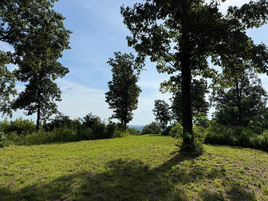 2441 N AR-9 HWY, MELBOURNE, AR 72556 - Image 65ebae0fe5c962a41bb65ba03a0dda0c/2715621807