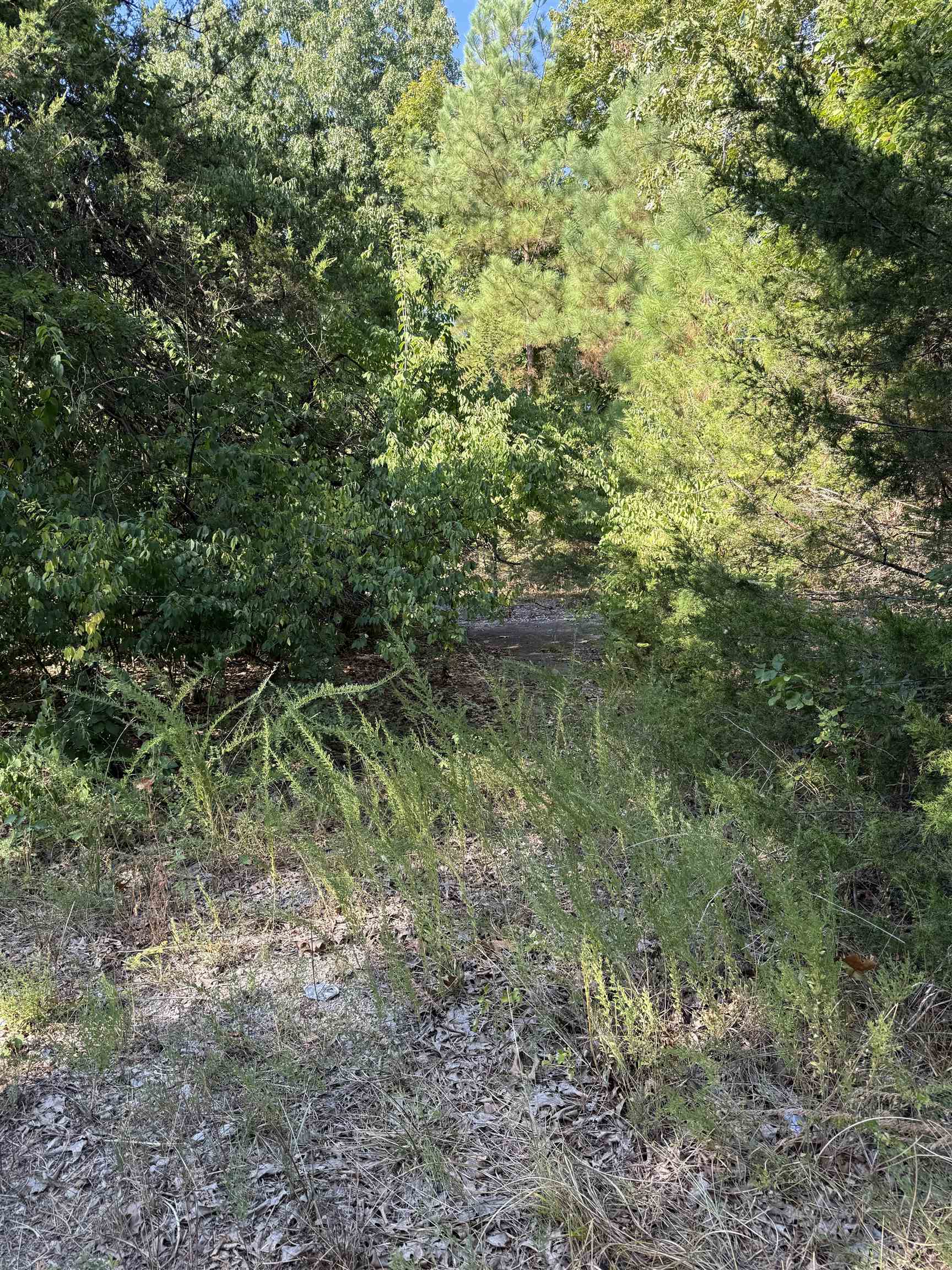 Paradise Acres - Land