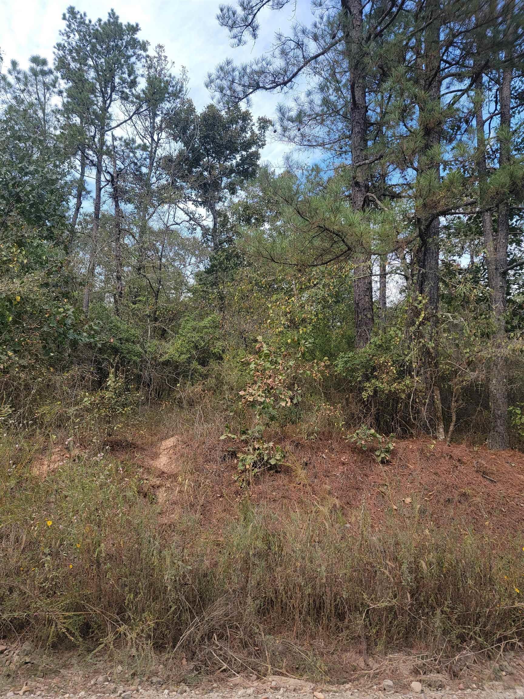 METES & BOUNDS - Land