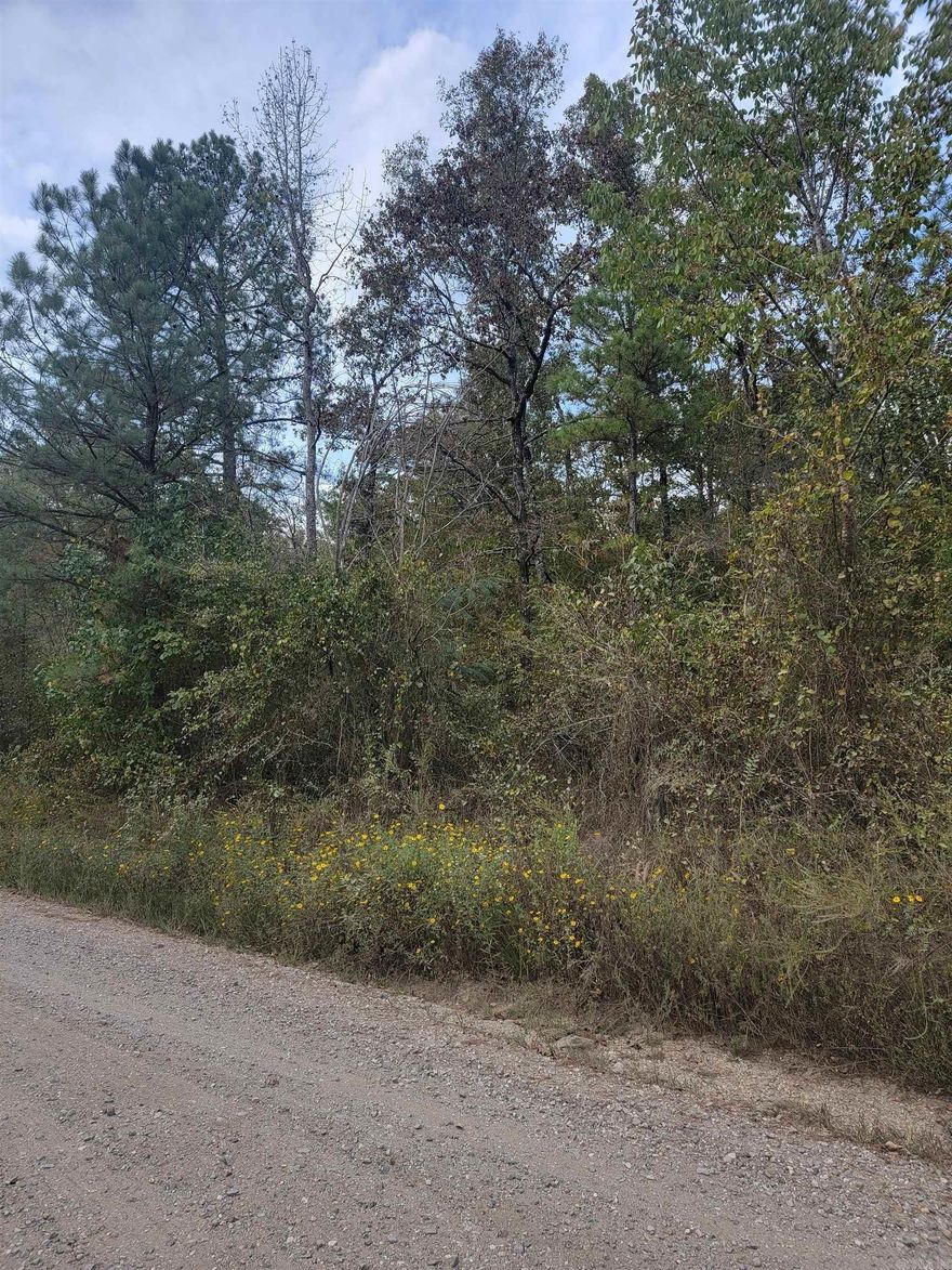 18 Acres great for country living. Access to water and electricity. Several homesites. Great hunting property for deer and turkey. Hardwood and pine timber.
