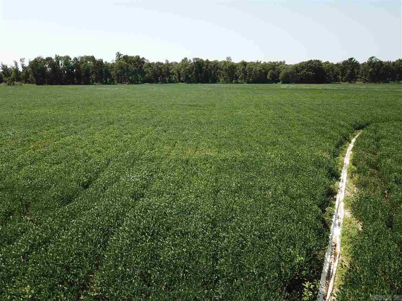 Metes & Bounds - Farm