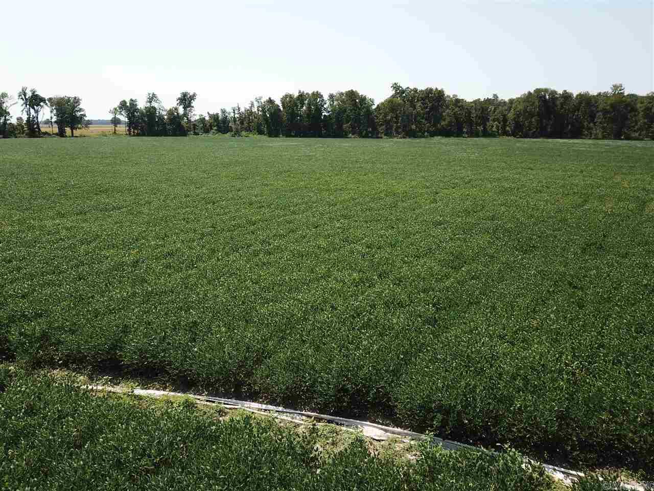 Metes & Bounds - Farm
