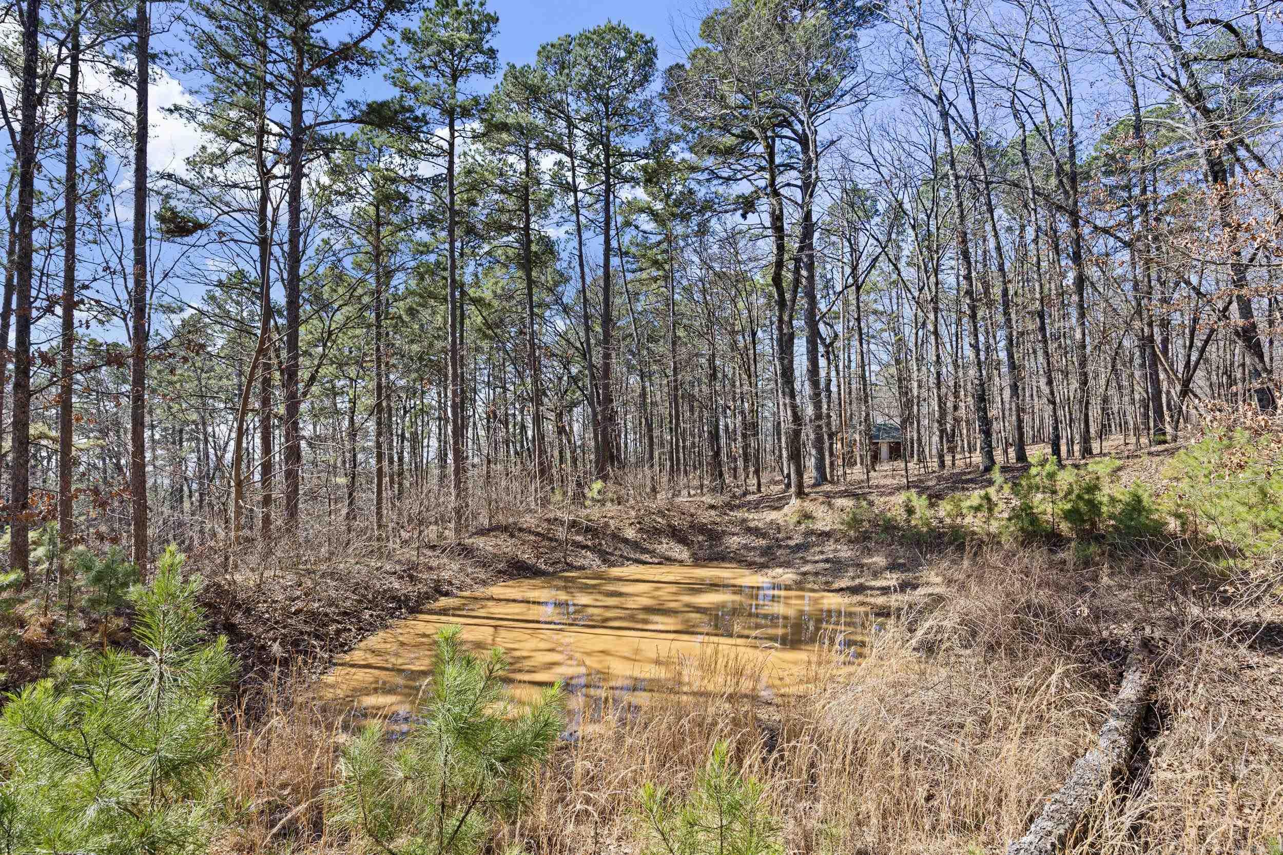 Metes & Bounds - Land