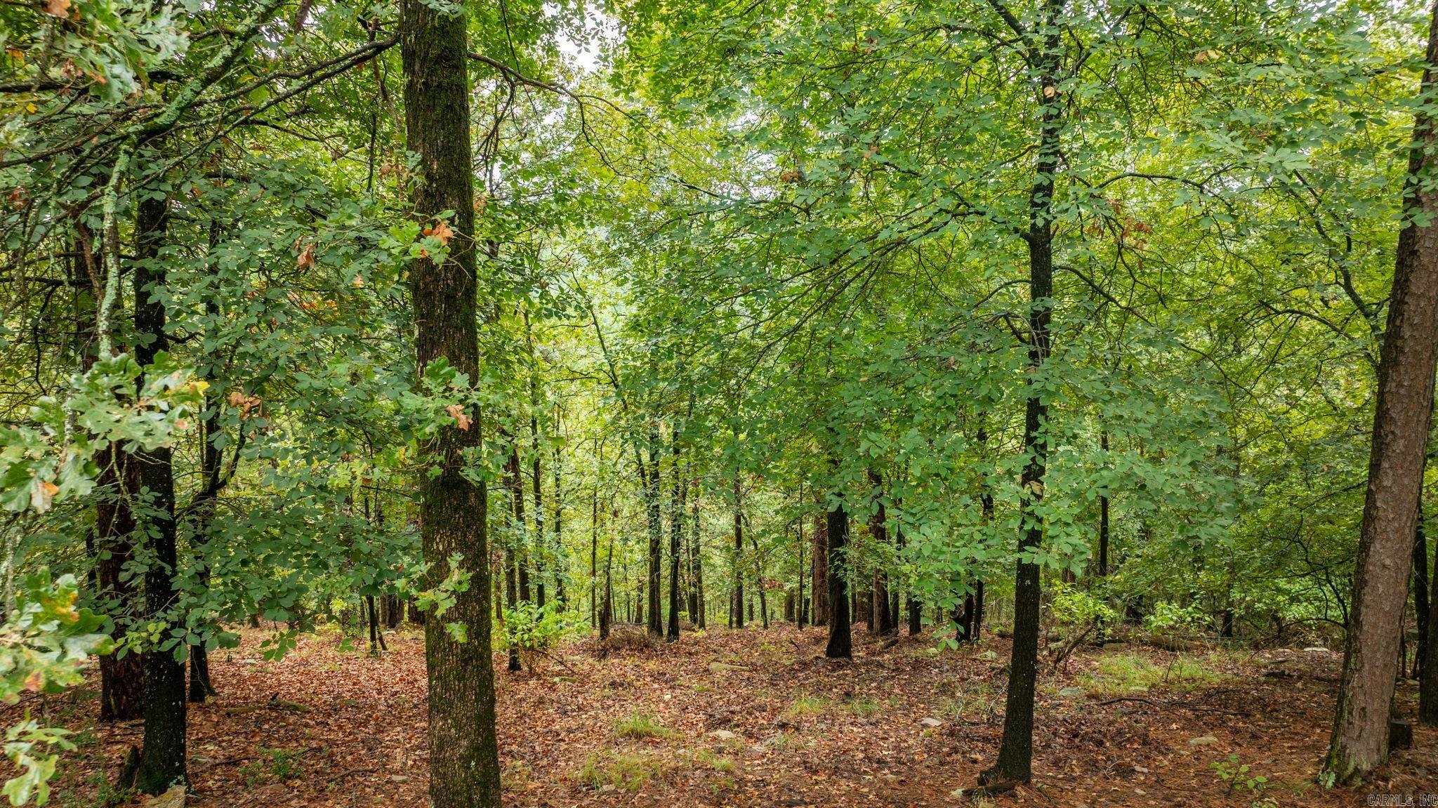 RIVERVIEW MANOR - Residential