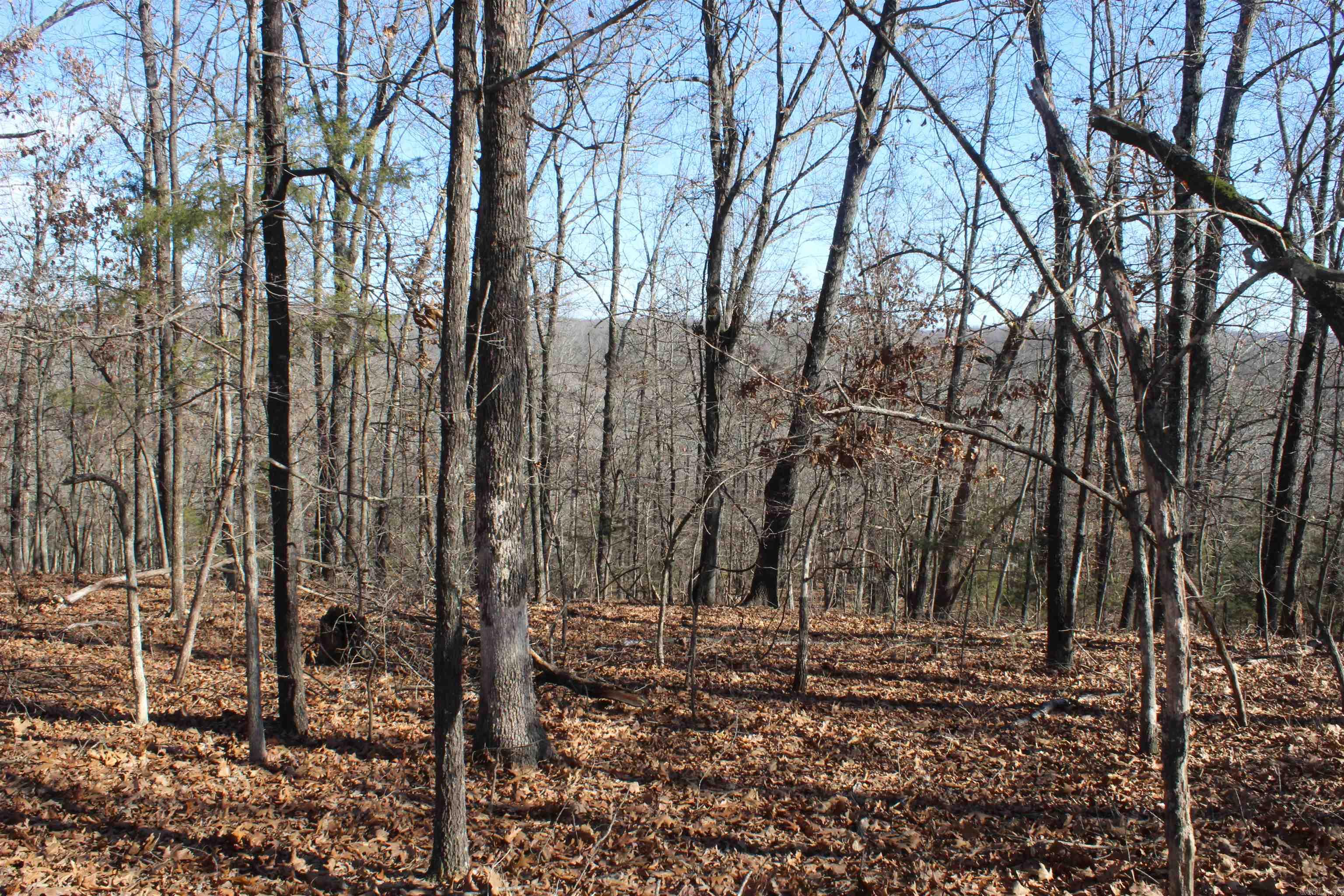 Highland Gardens - Land