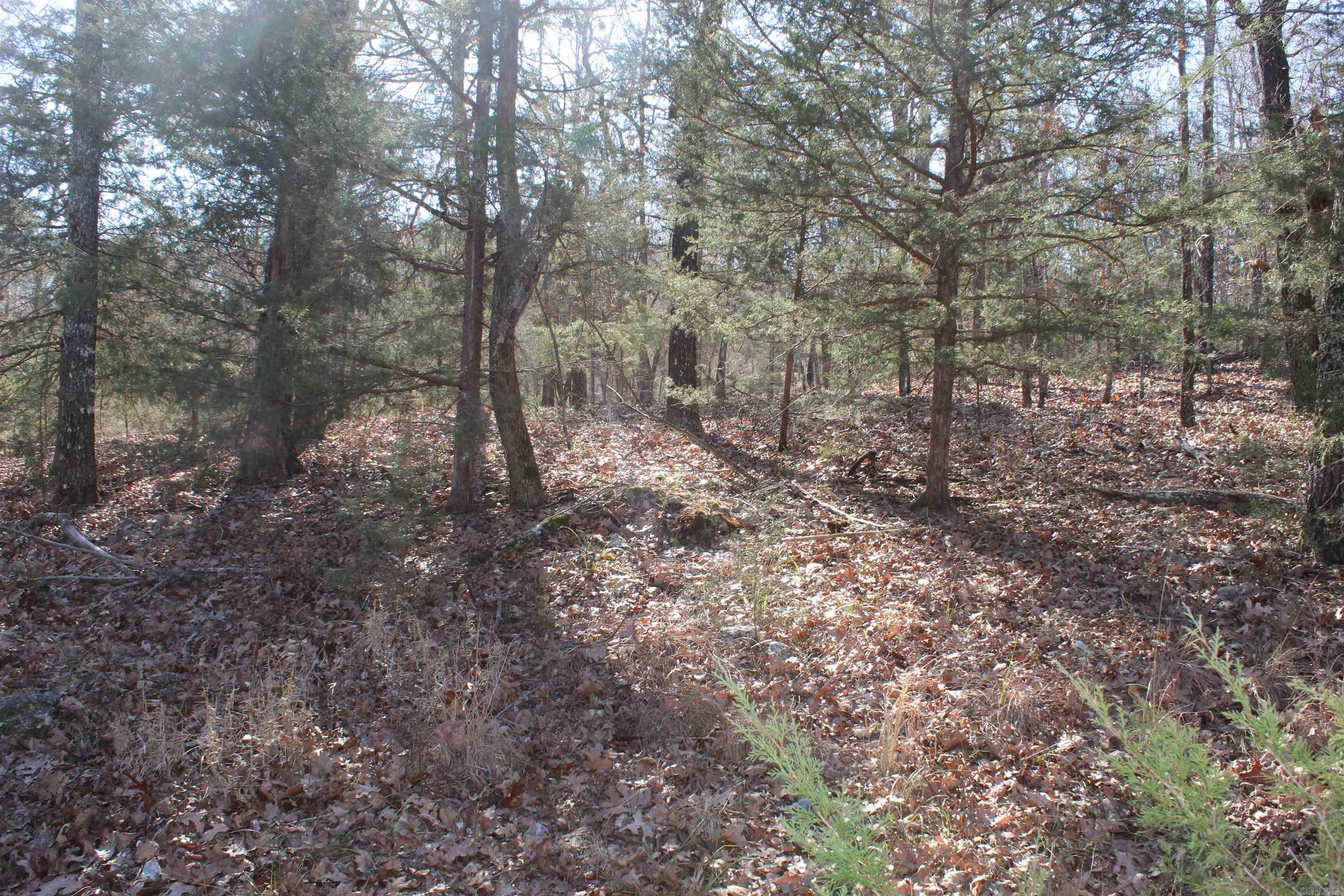 Highland Gardens - Land