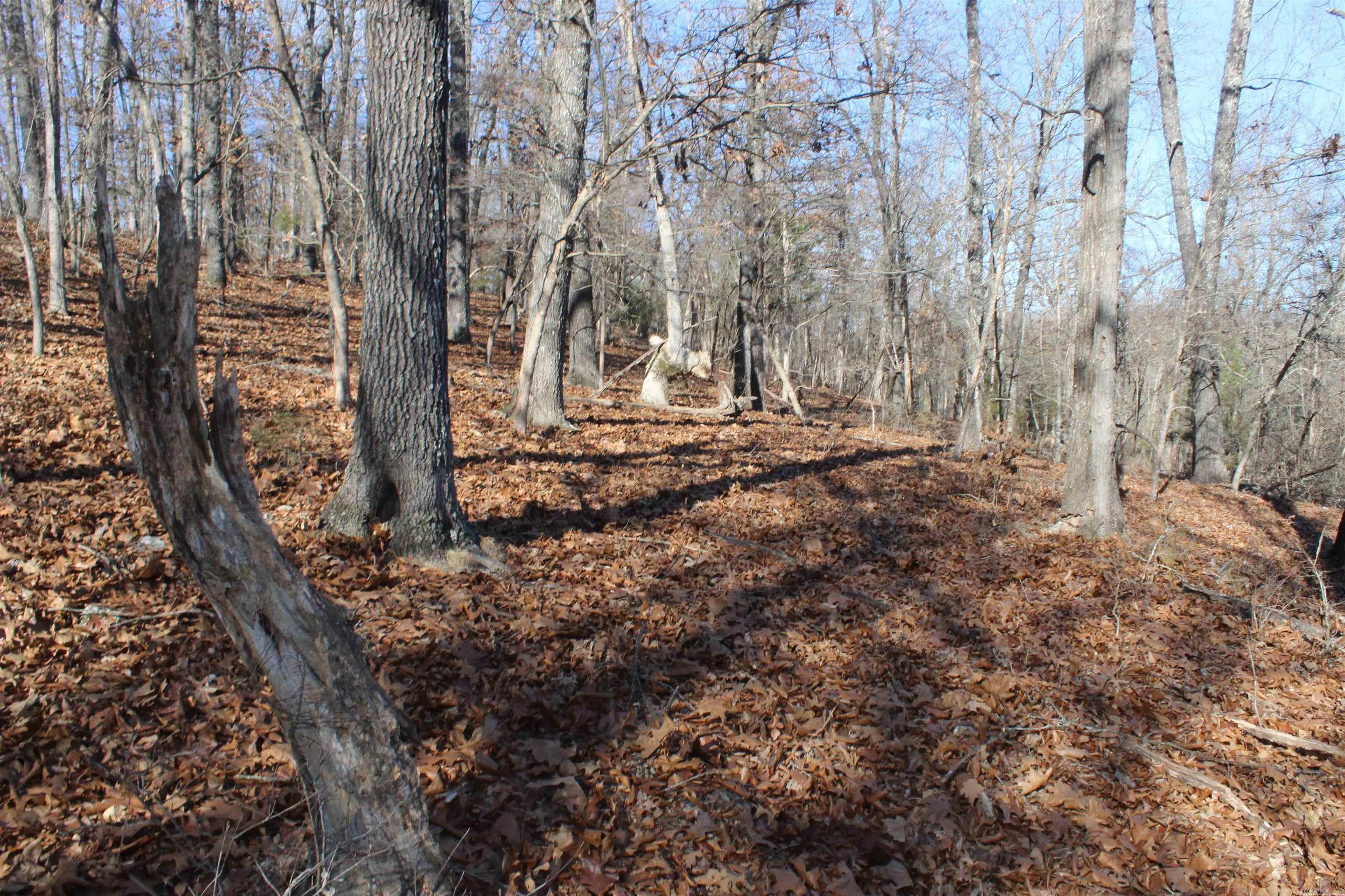 Highland Gardens - Land