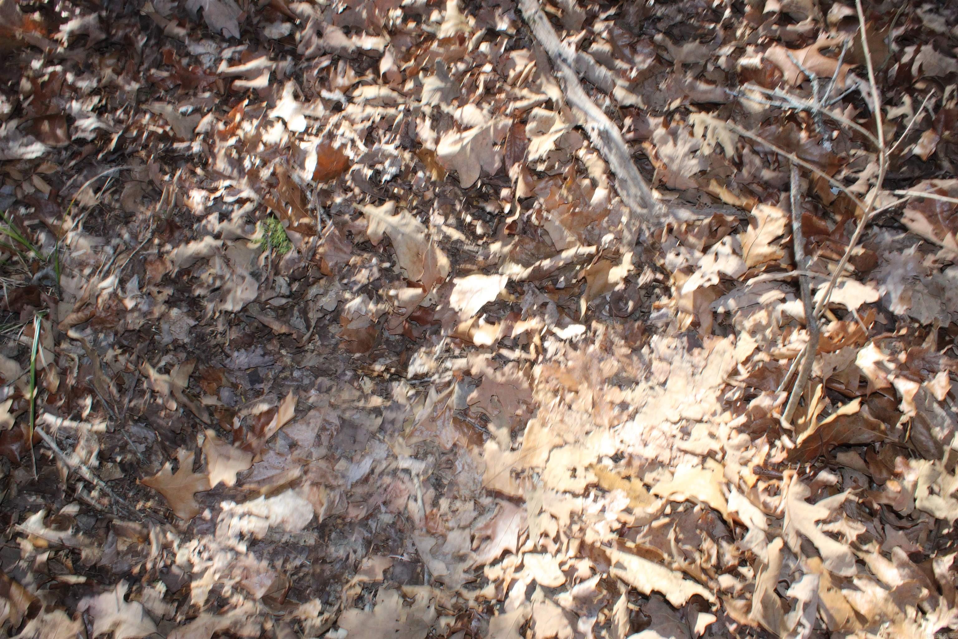 Highland Gardens - Land