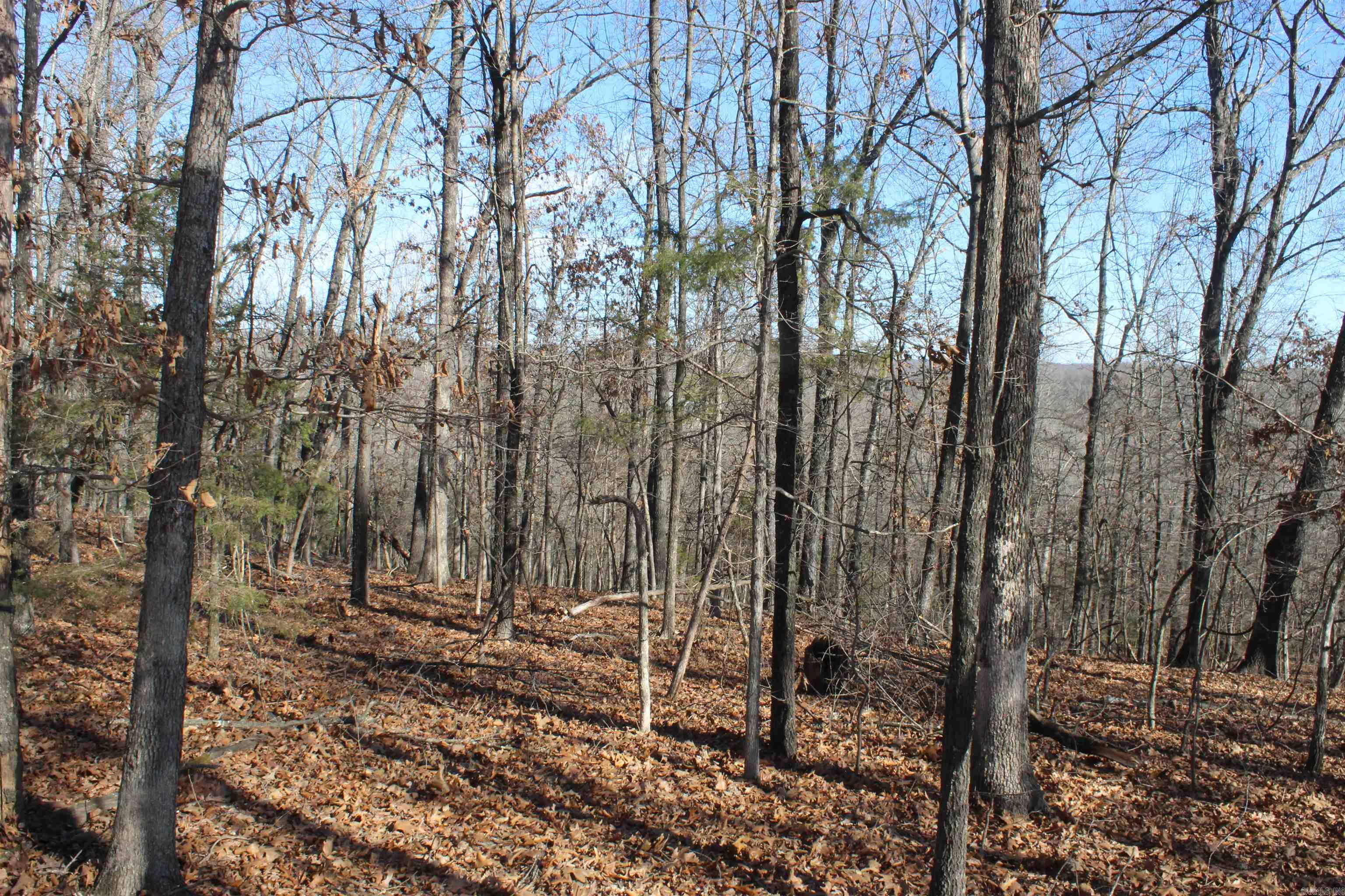 Highland Gardens - Land