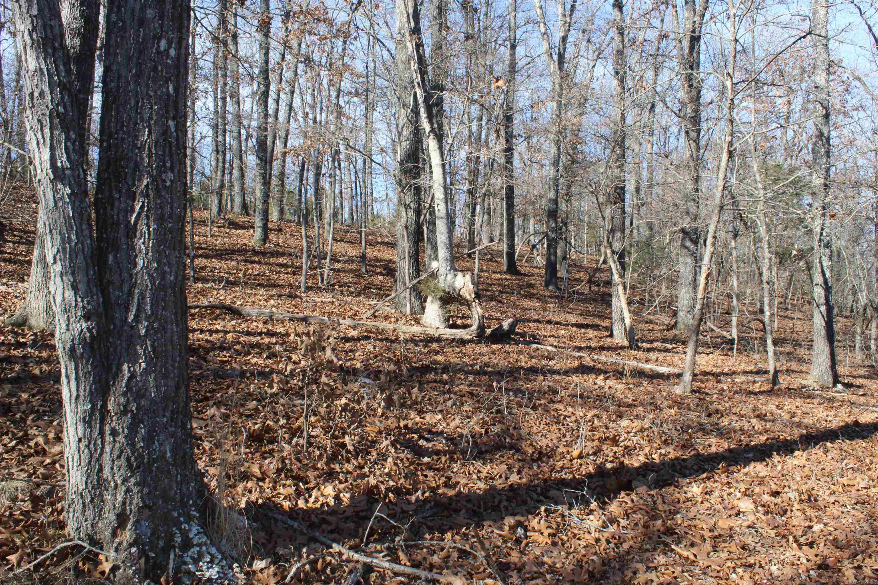 Highland Gardens - Land