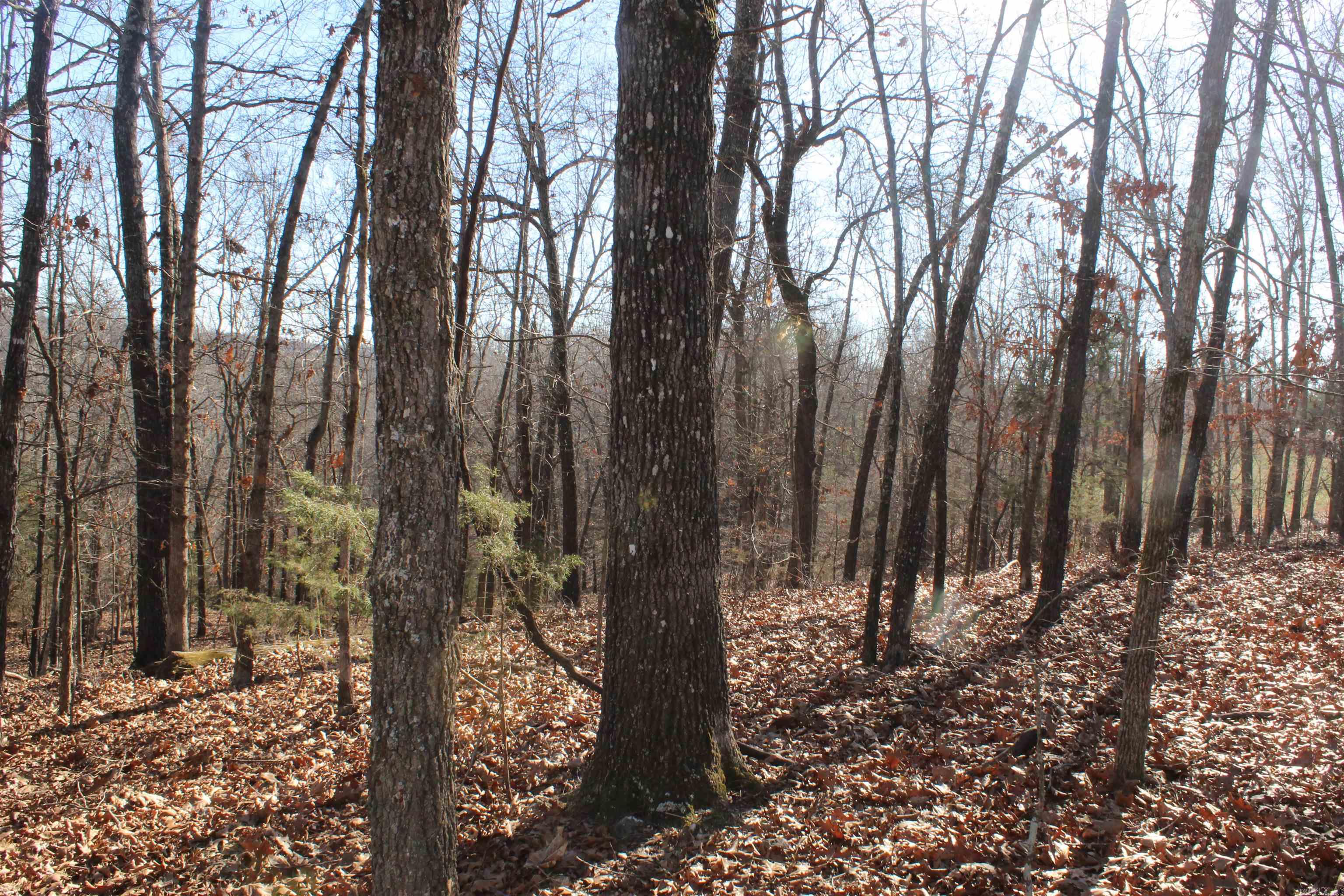 Highland Gardens - Land