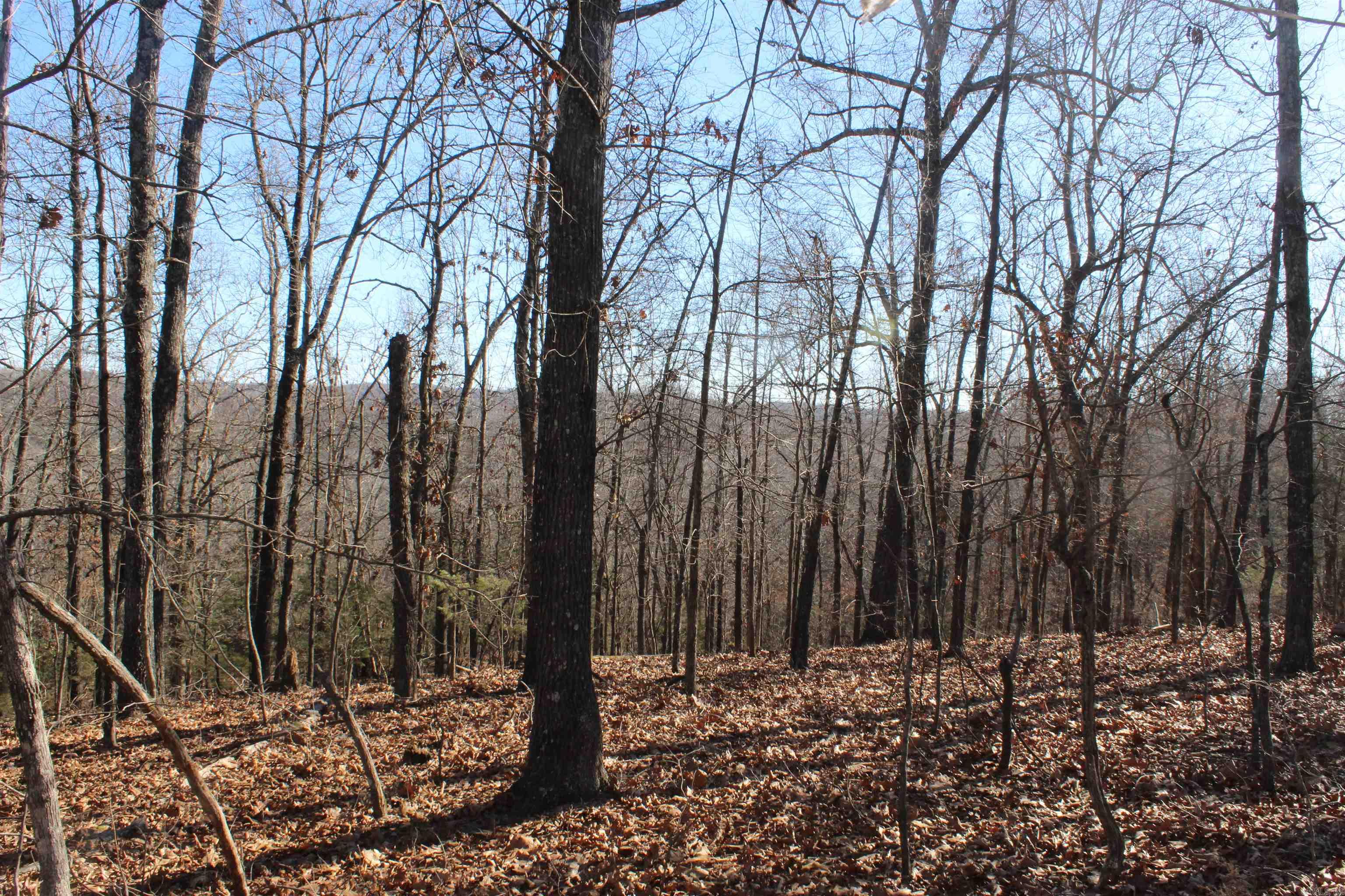 Highland Gardens - Land