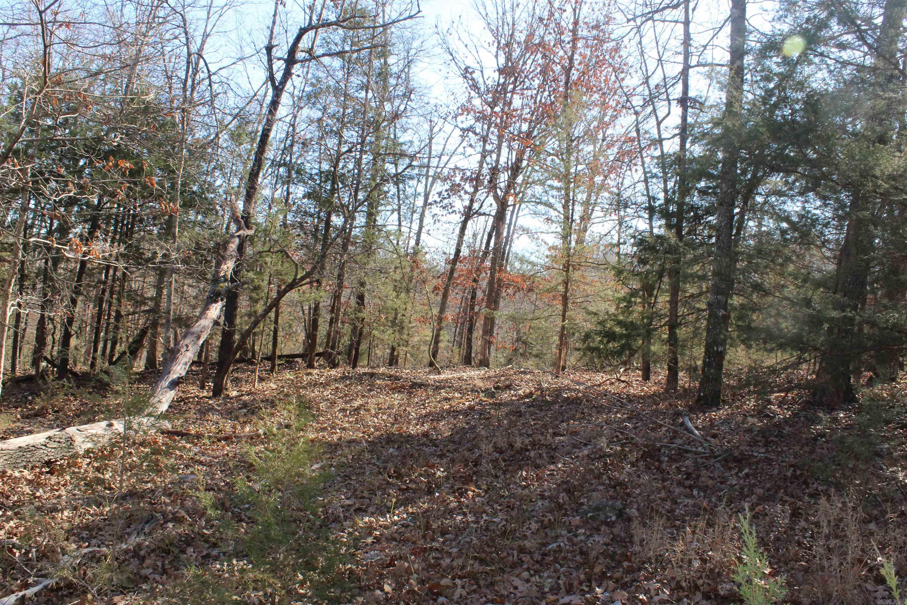 Highland Gardens - Land