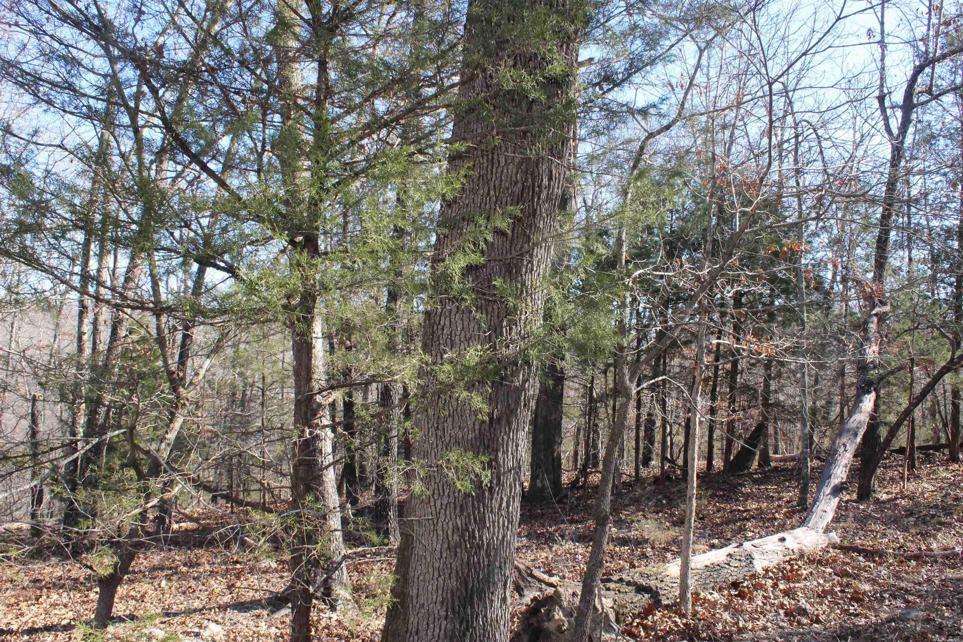 Highland Gardens - Land