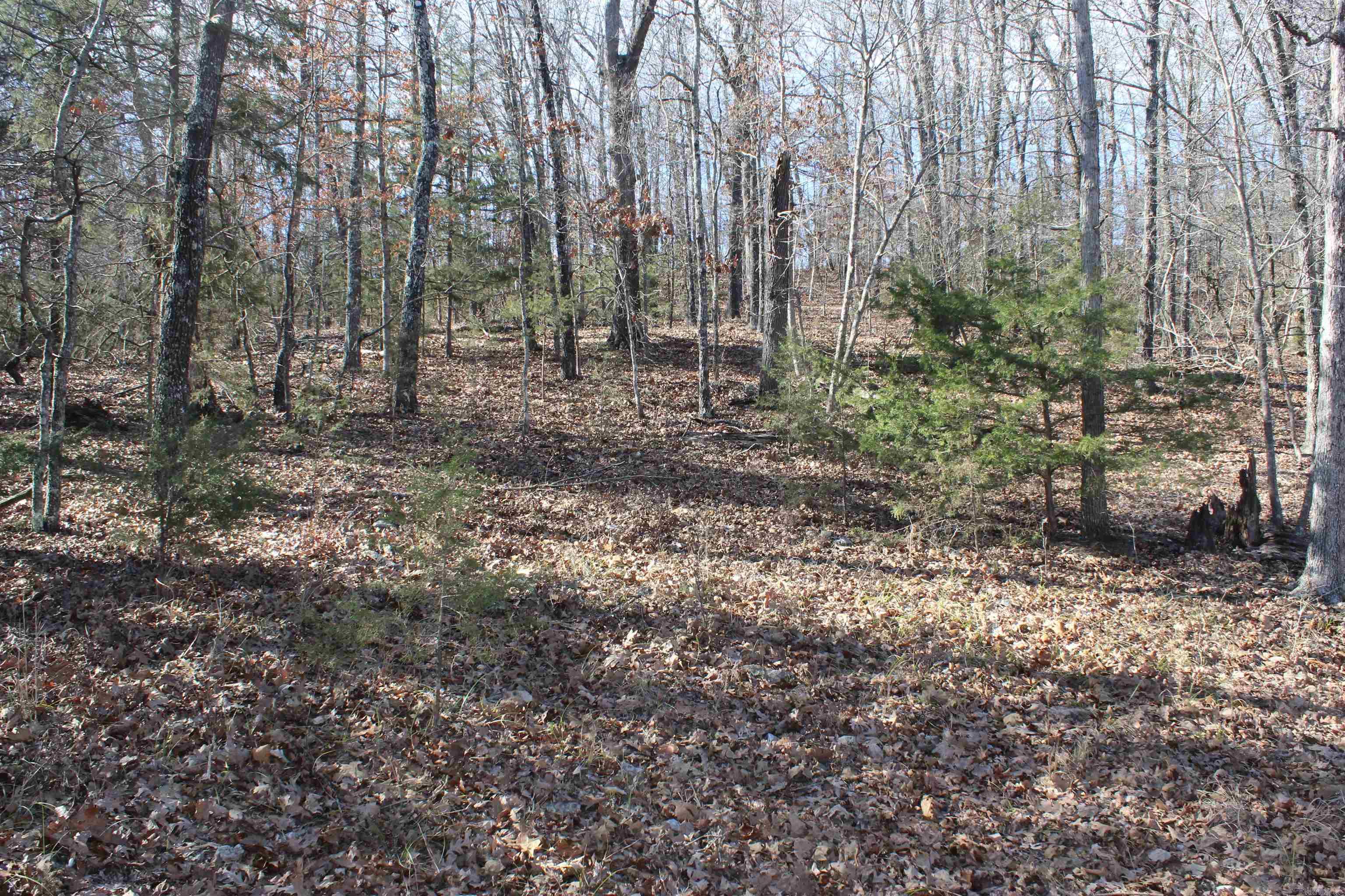 Highland Gardens - Land