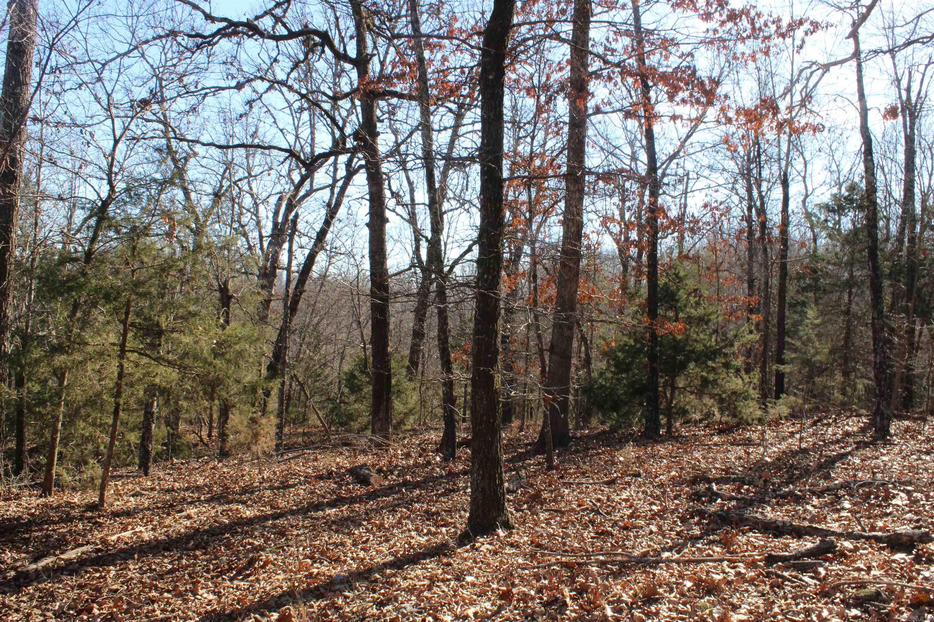 Highland Gardens - Land