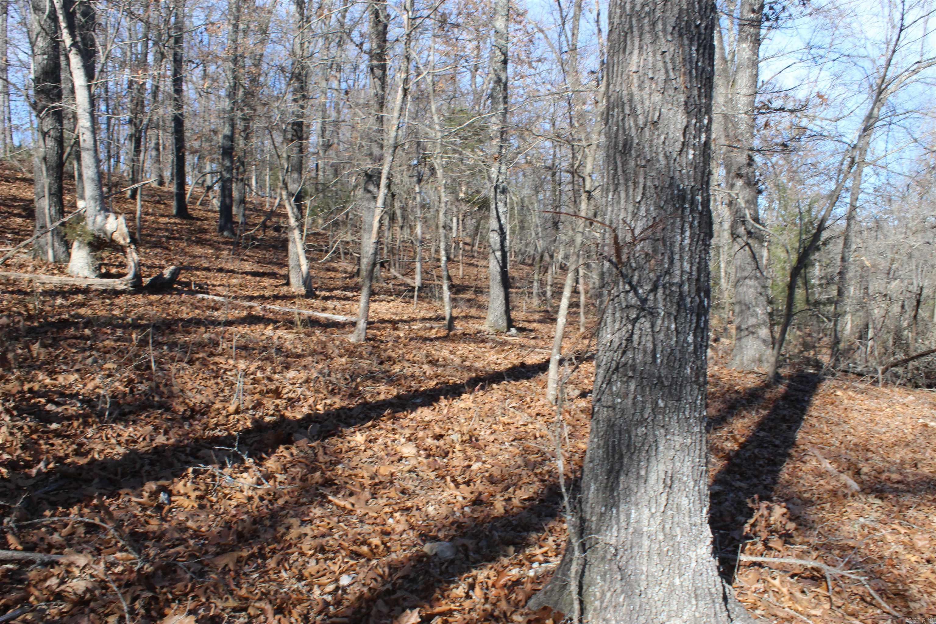 Highland Gardens - Land