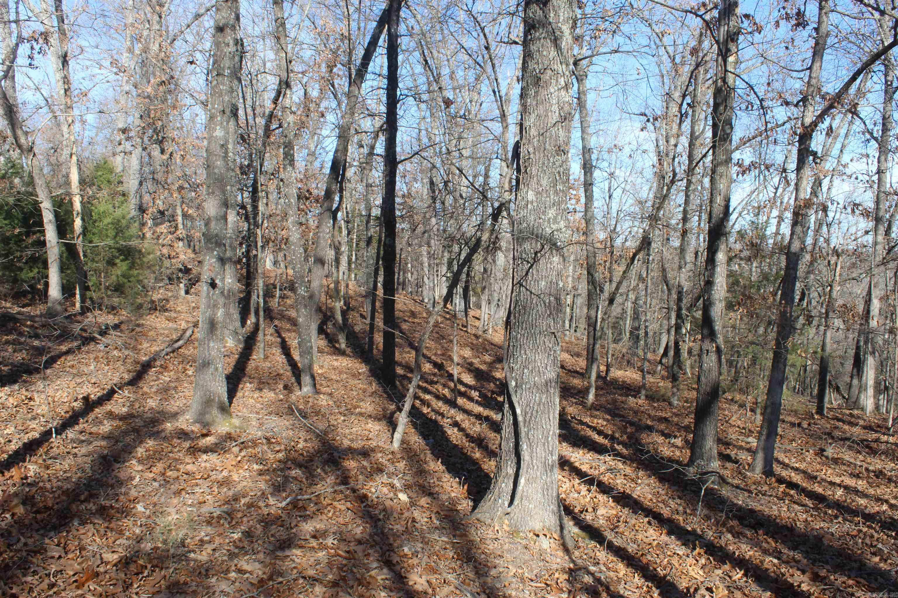 Highland Gardens - Land