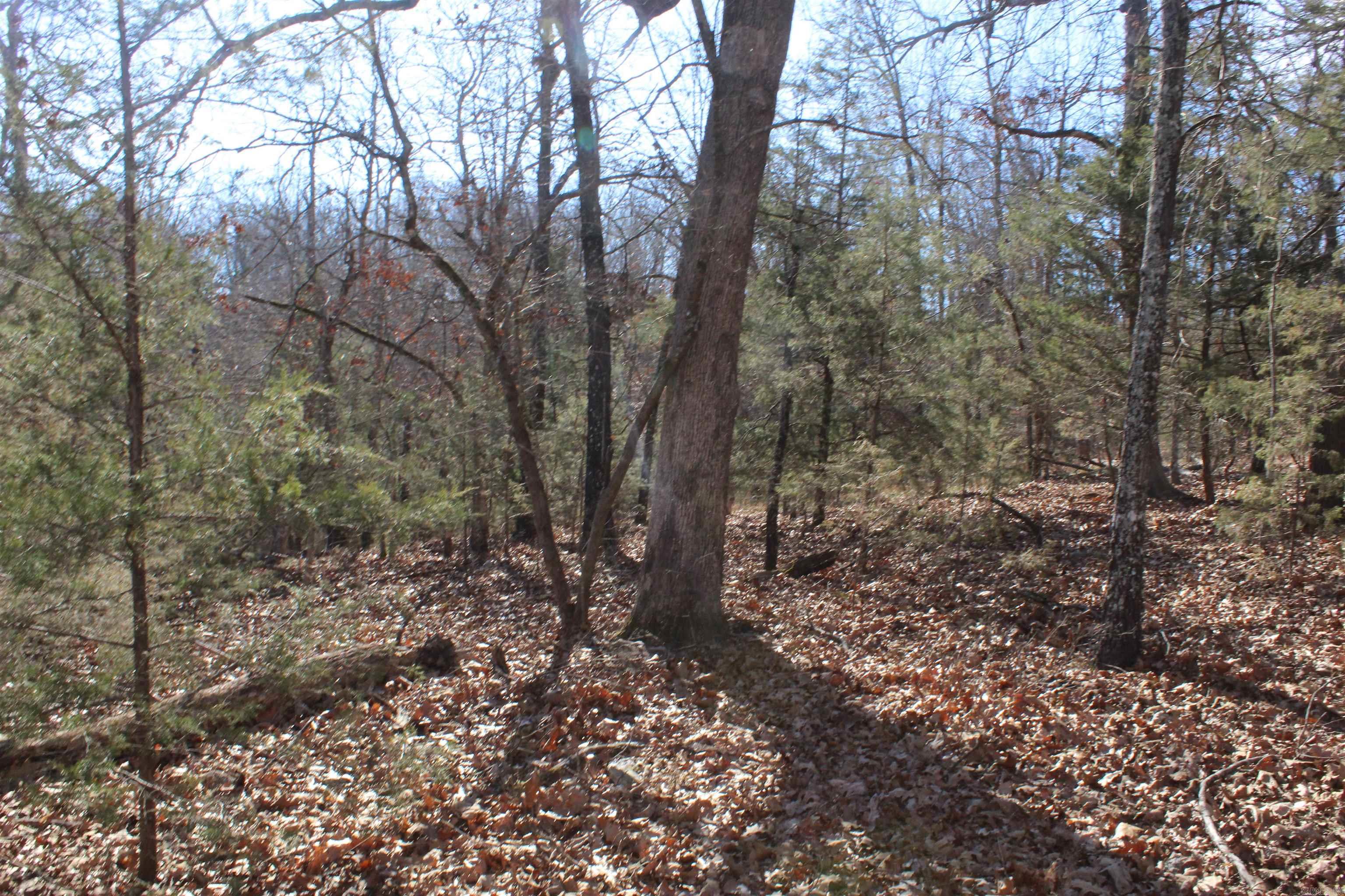 Highland Gardens - Land