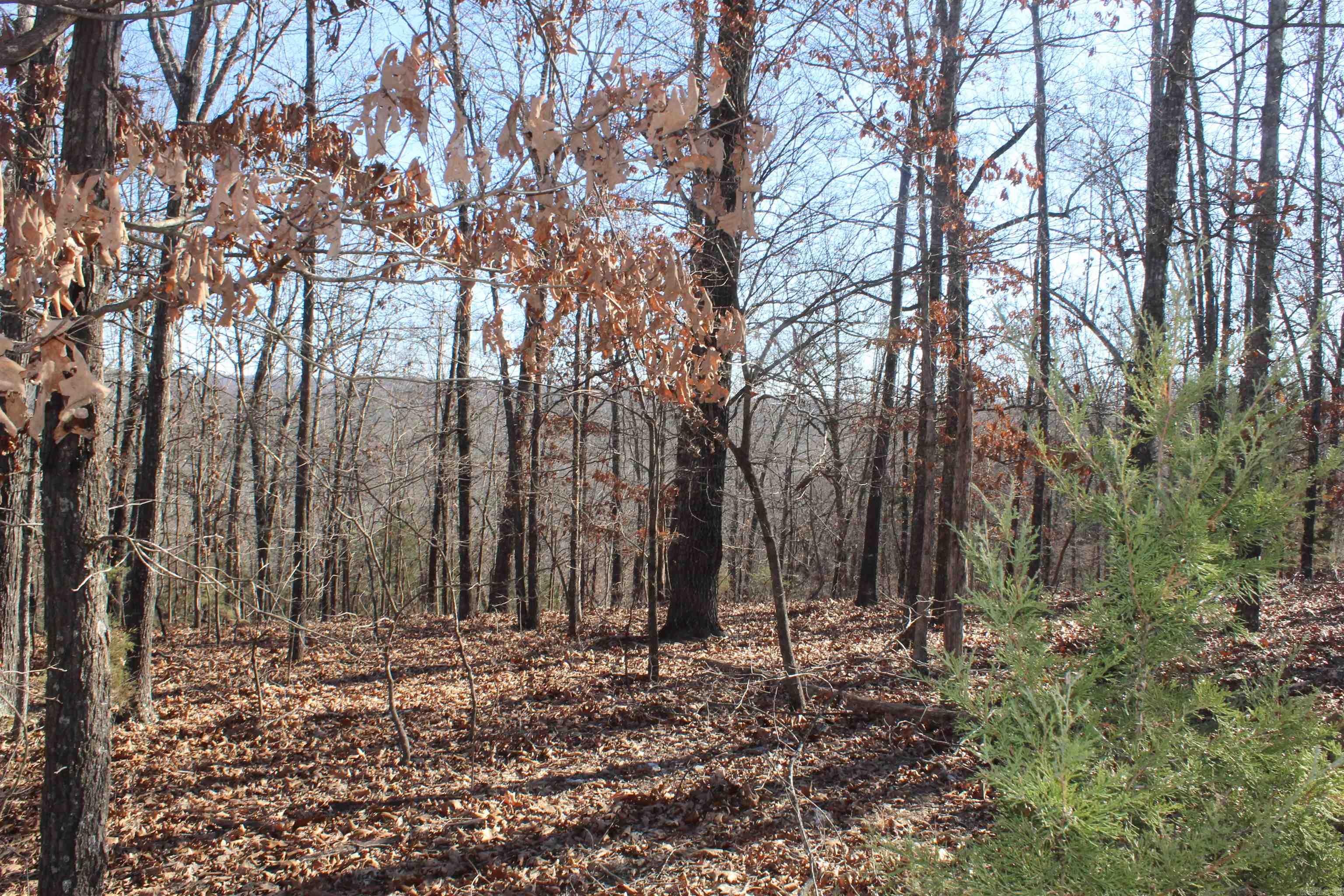 Highland Gardens - Land