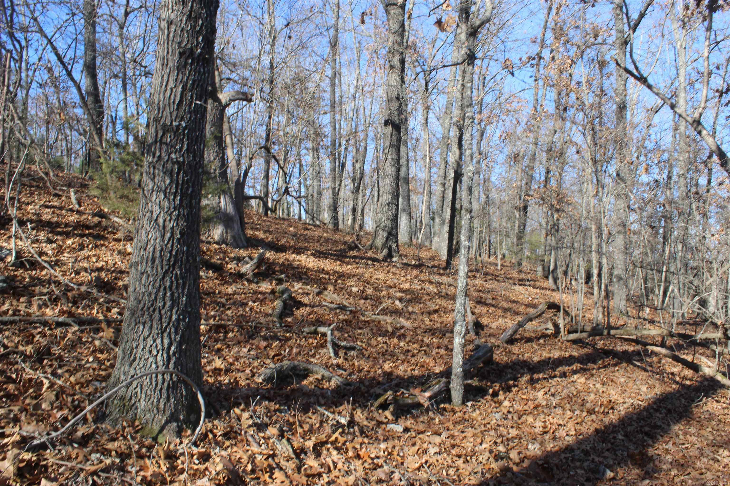 Highland Gardens - Land