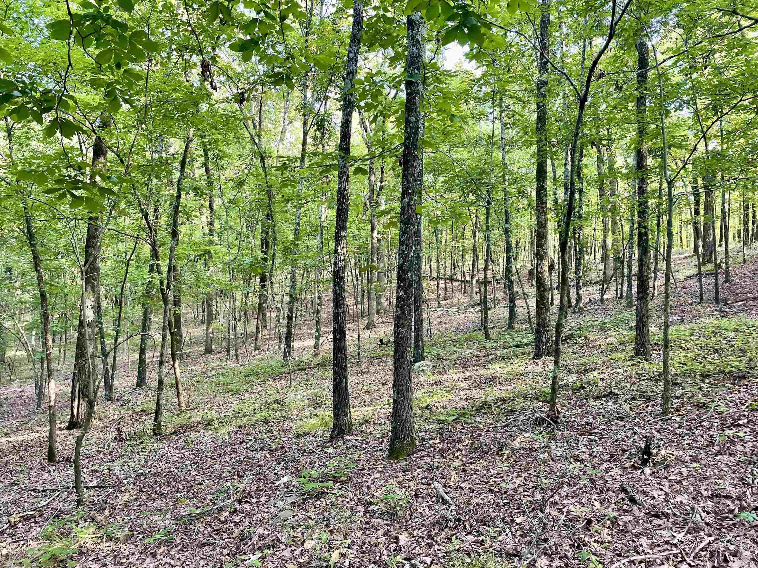 Not in Subdivision - Land