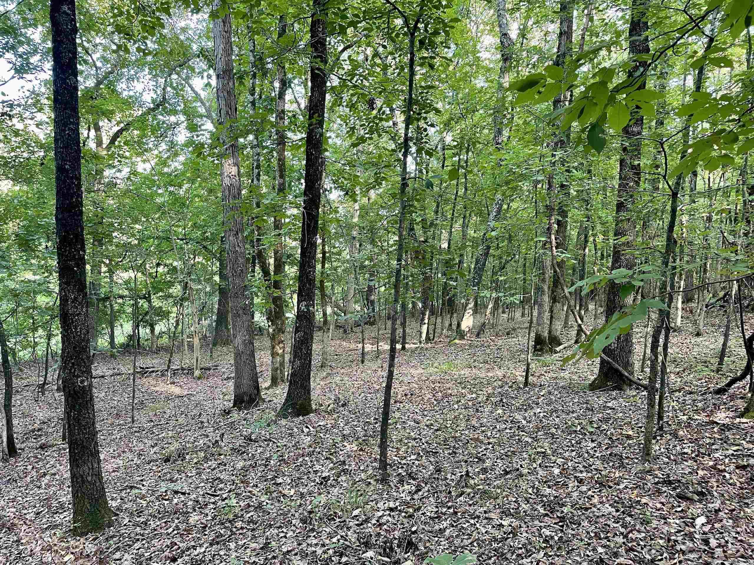 Not in Subdivision - Land