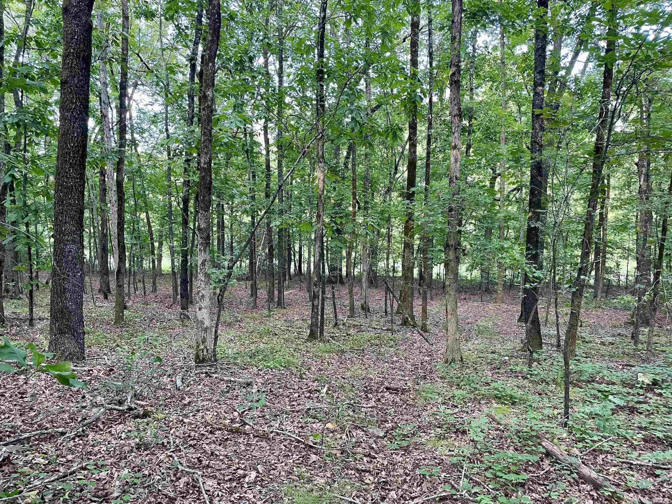 Not in Subdivision - Land