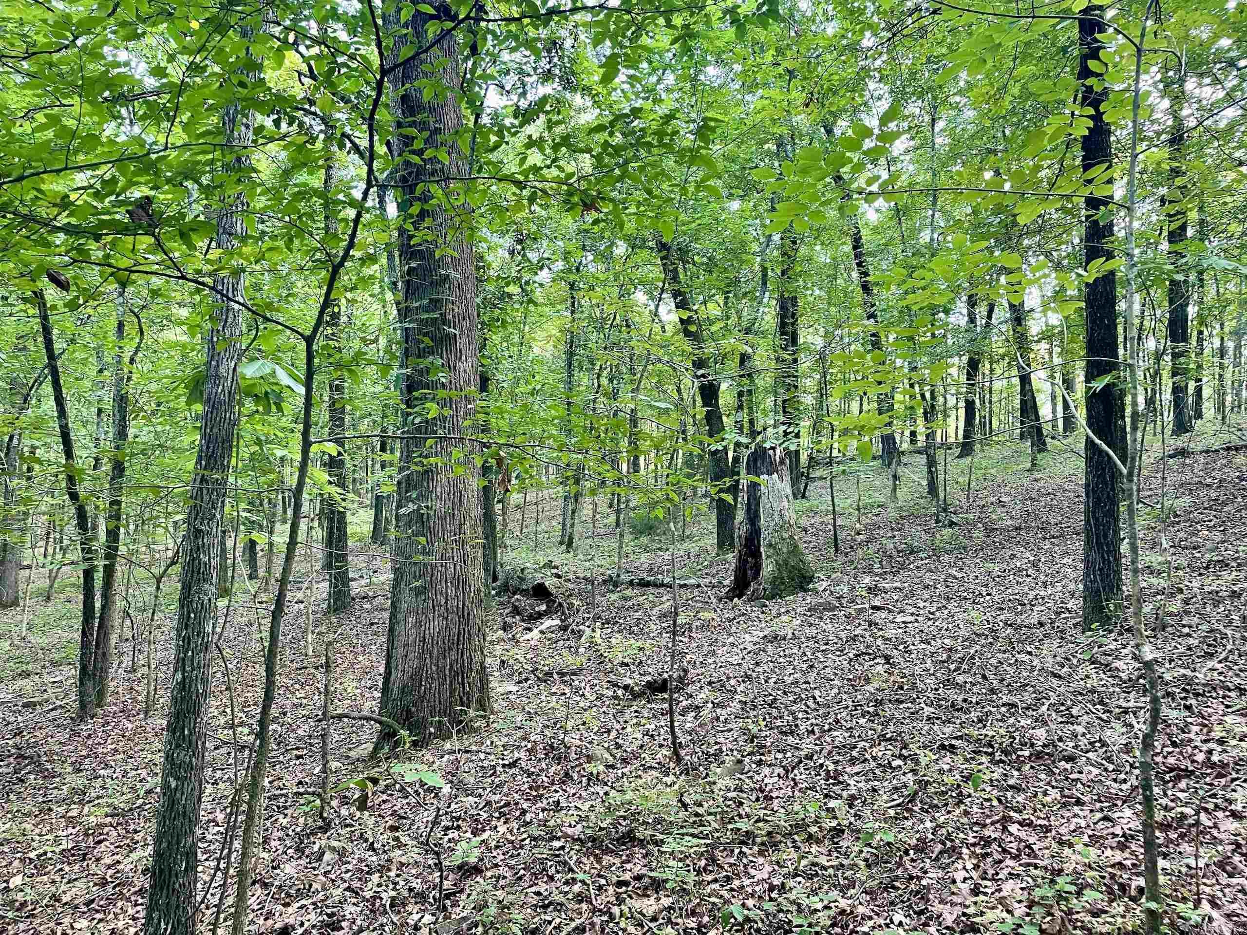 Not in Subdivision - Land