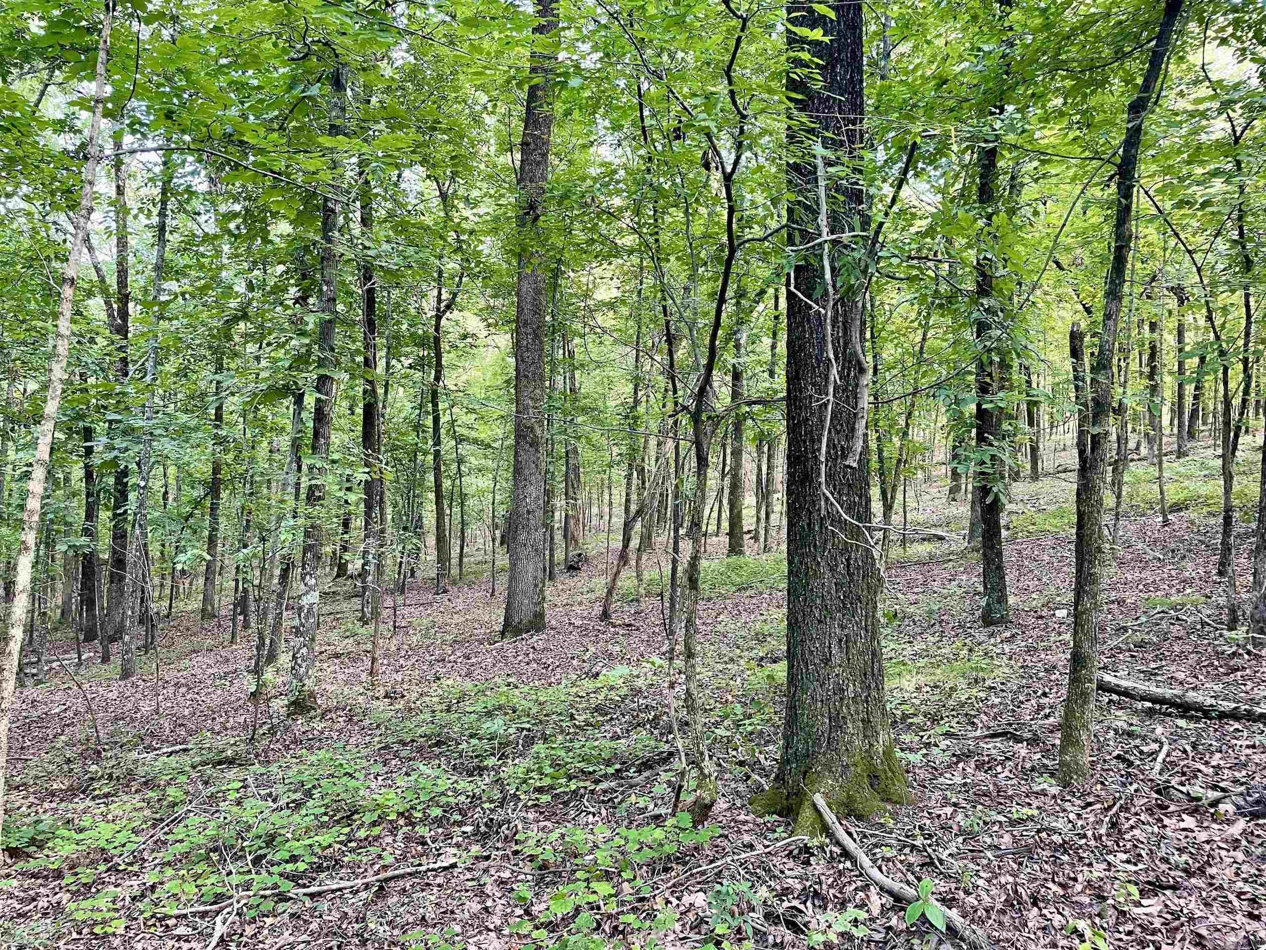 Not in Subdivision - Land