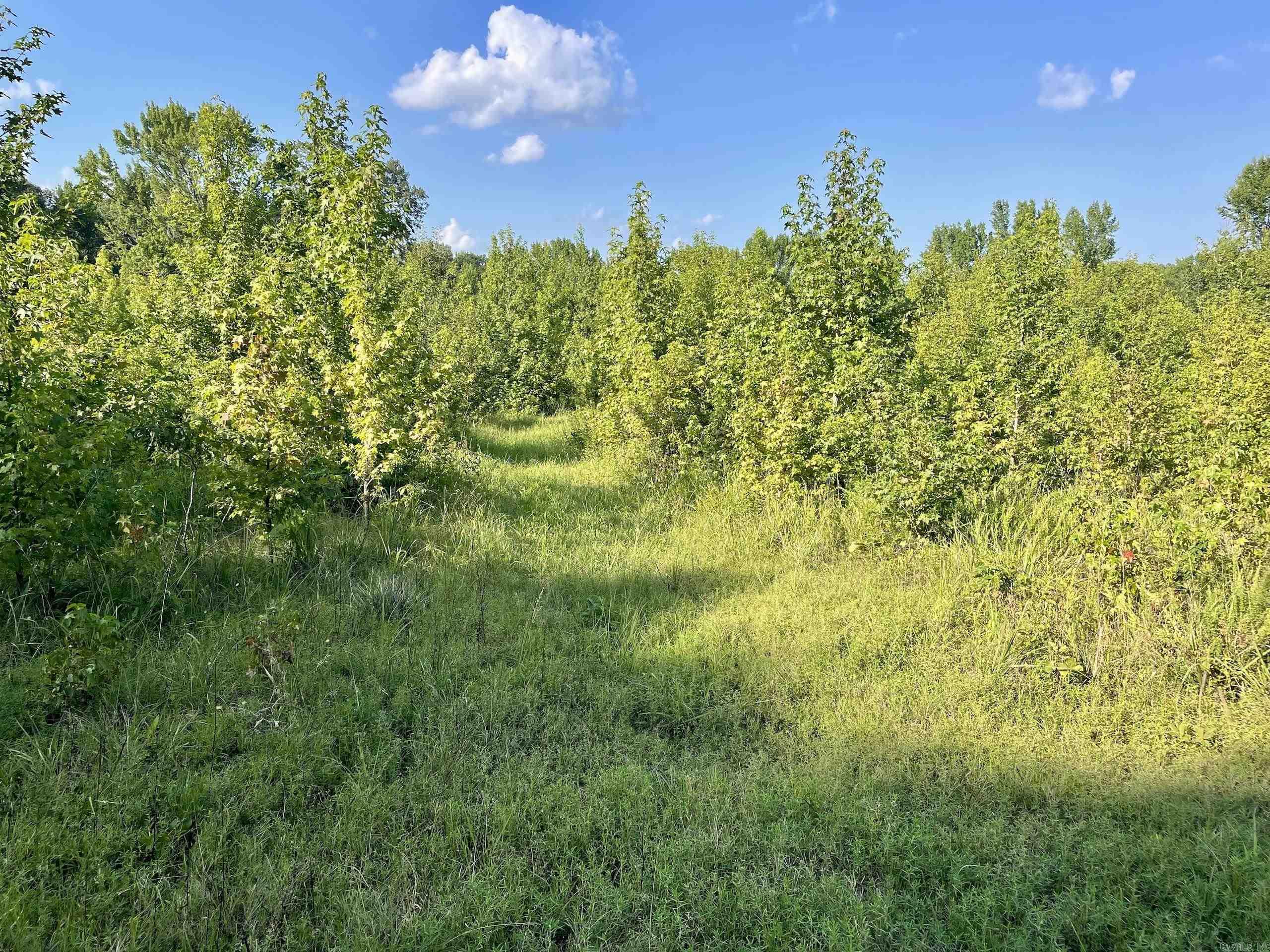 Not in Subdivision - Land