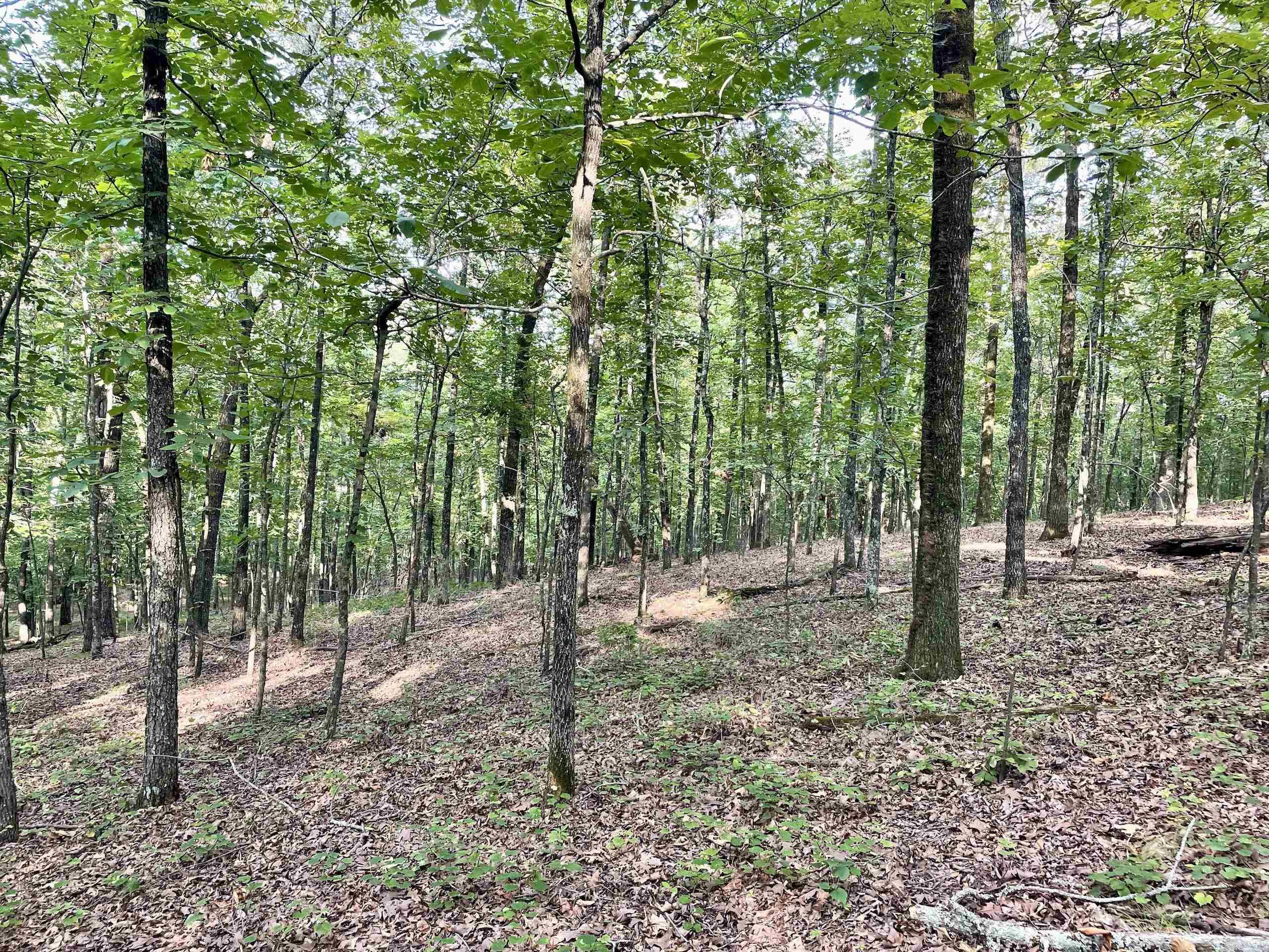 Not in Subdivision - Land