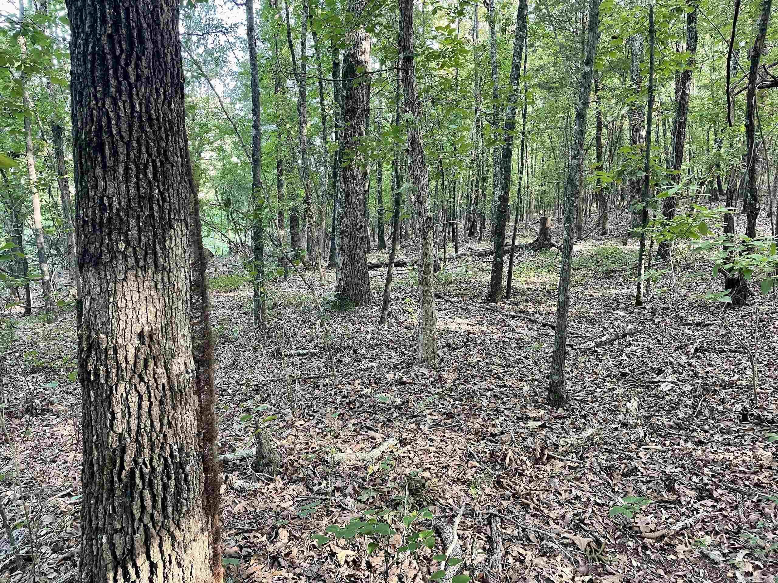 Not in Subdivision - Land