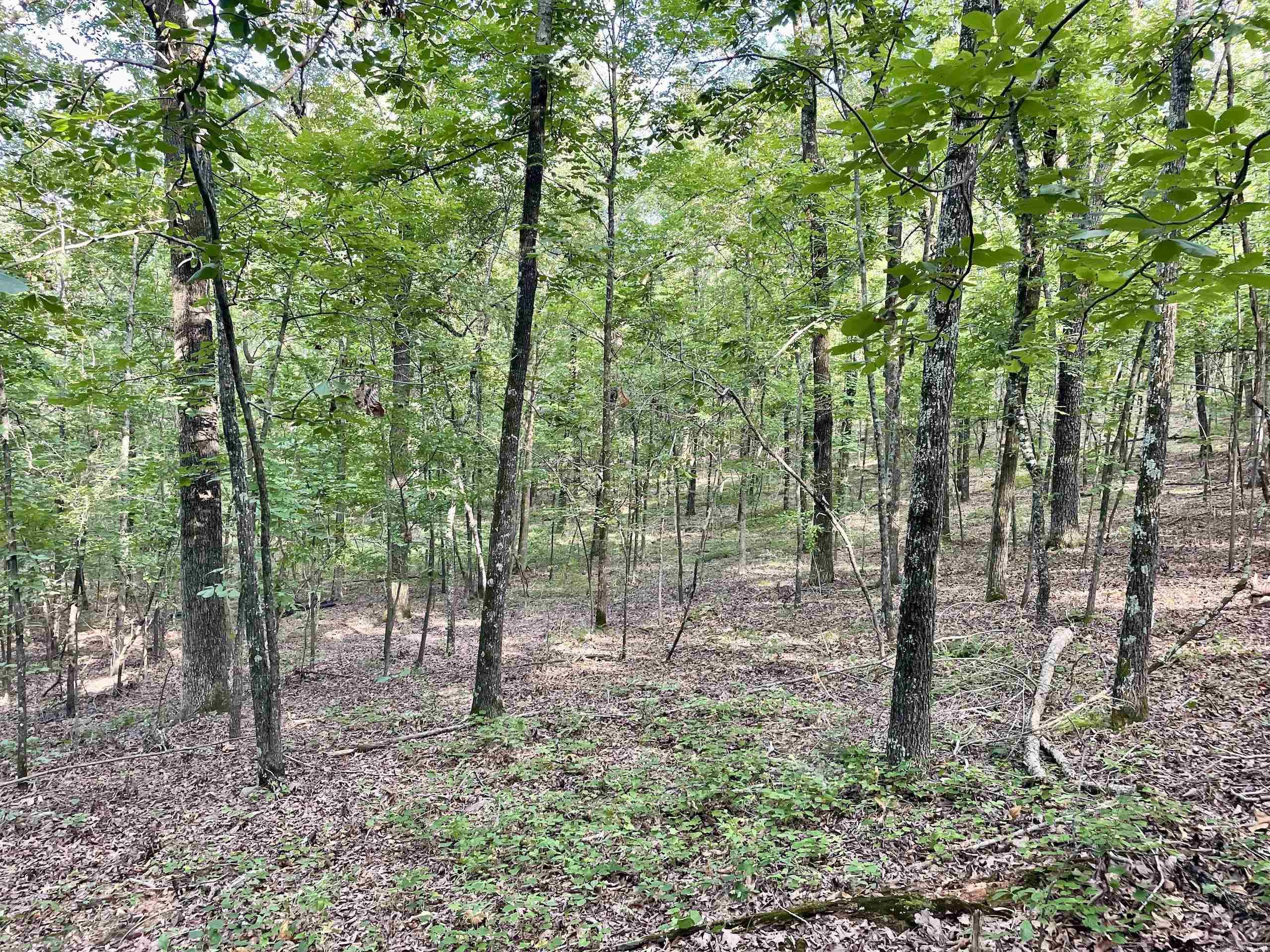 Not in Subdivision - Land