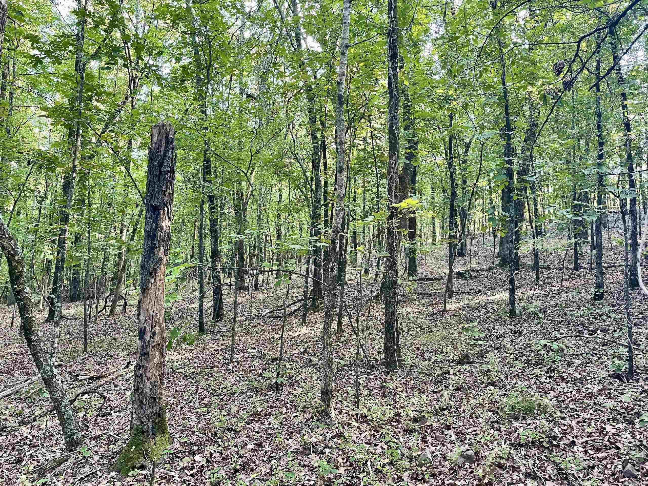 Not in Subdivision - Land