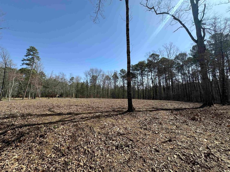 1.5 Acres of beautiful level land that's ready for your custom home!  Located in the county with no restrictions! Land has a good perc test and has been partially cleared!  Convenient to Little Rock and all of Saline County! Saline County Parcel 001-01057-000