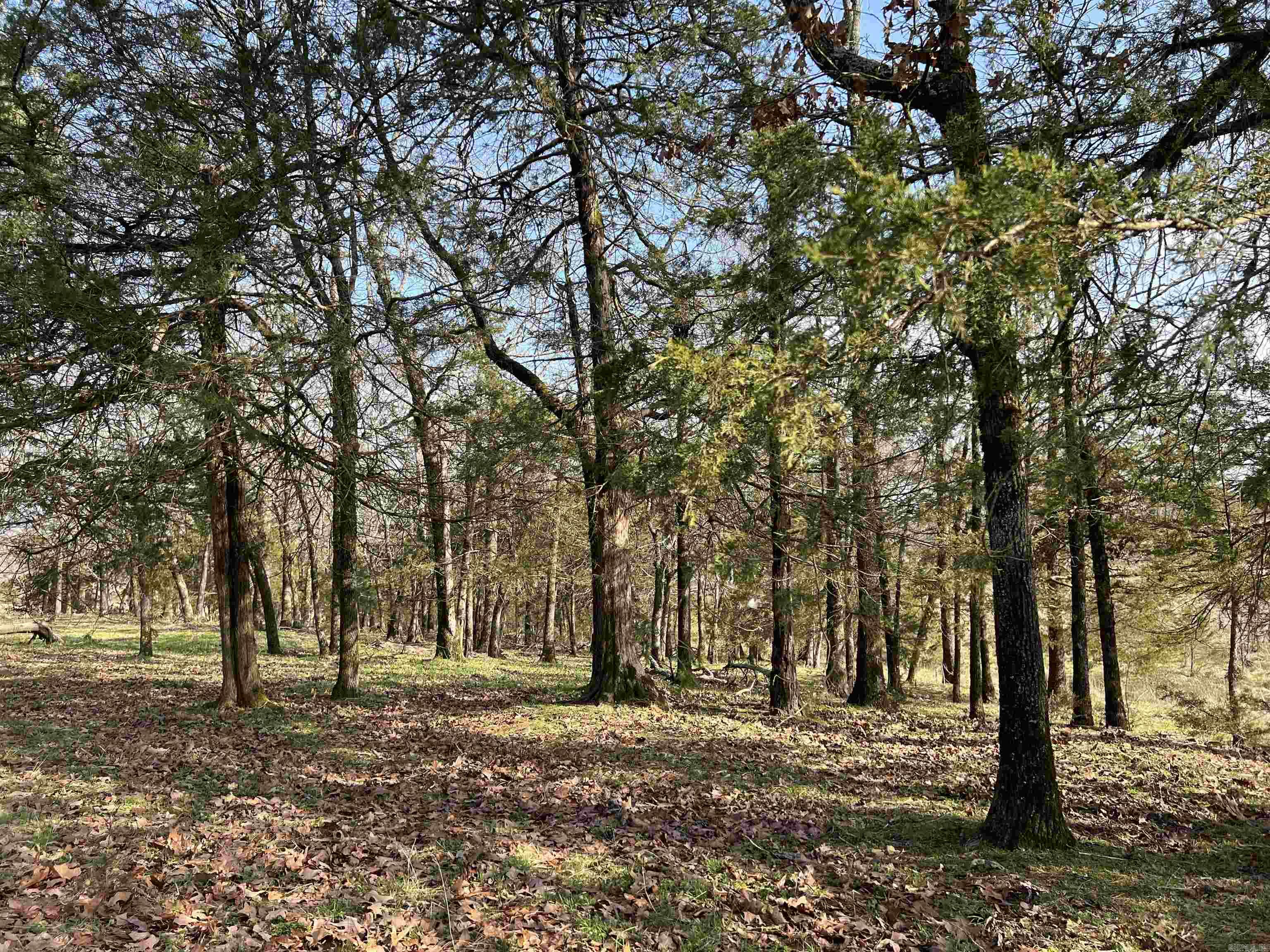 Metes & Bounds - Land