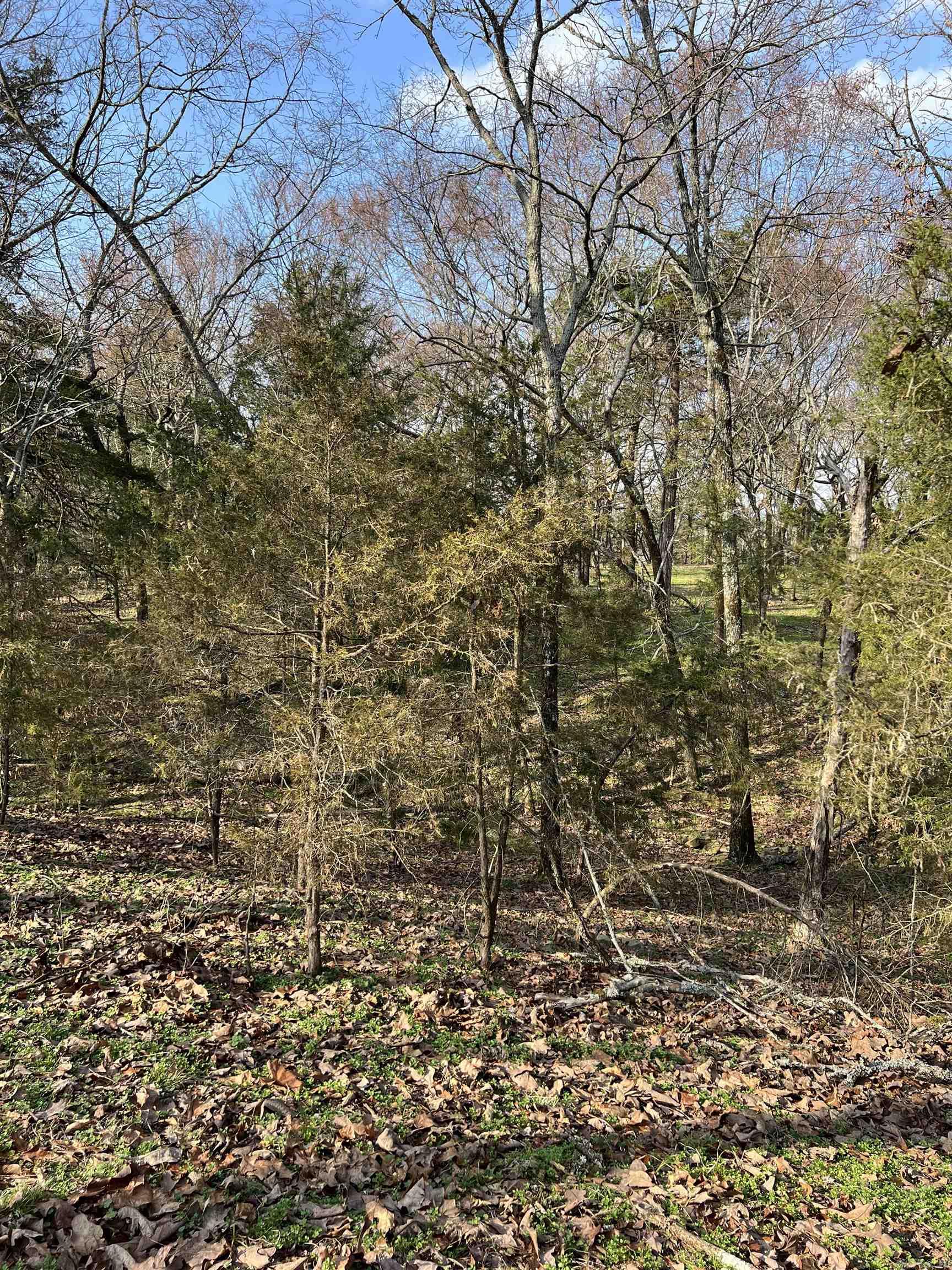 Metes & Bounds - Land