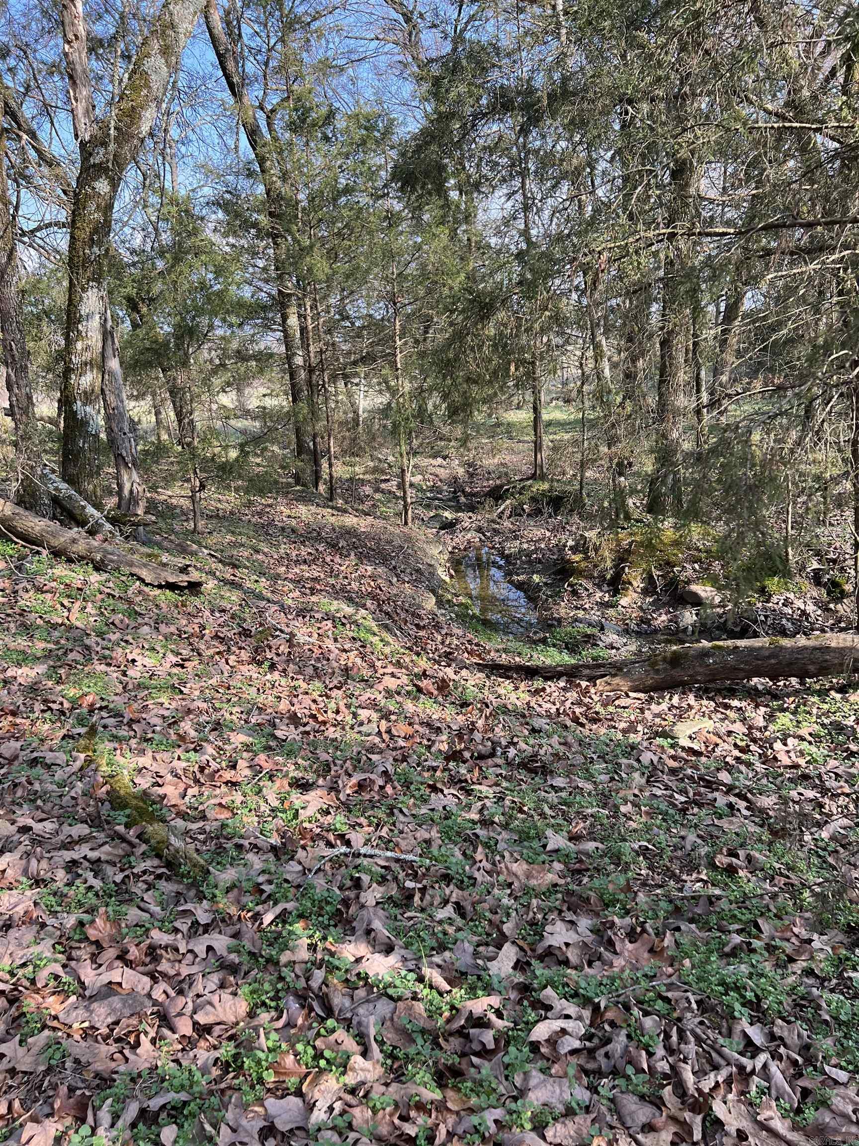 Metes & Bounds - Land