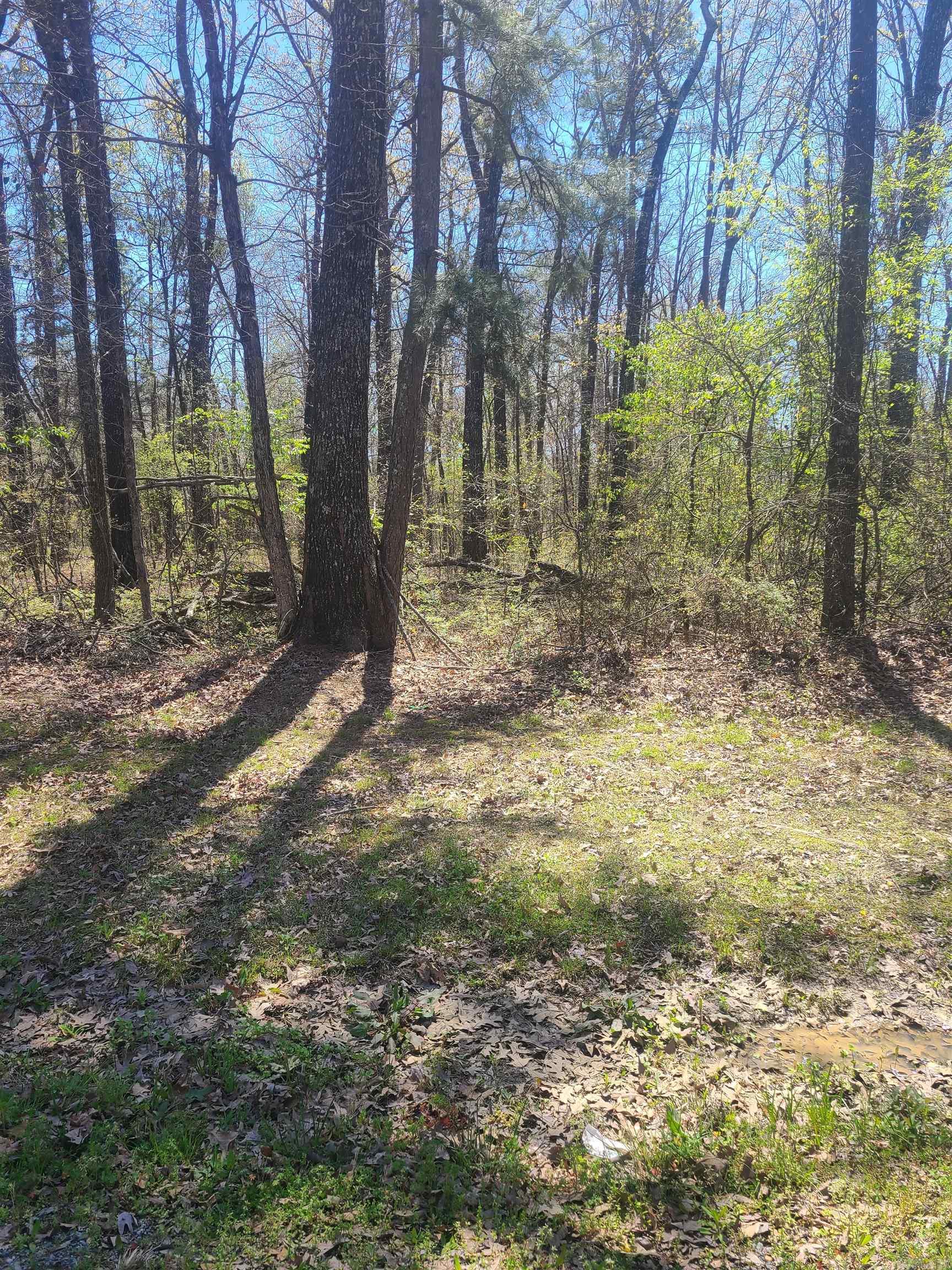 Pine Meadow Acres - Land