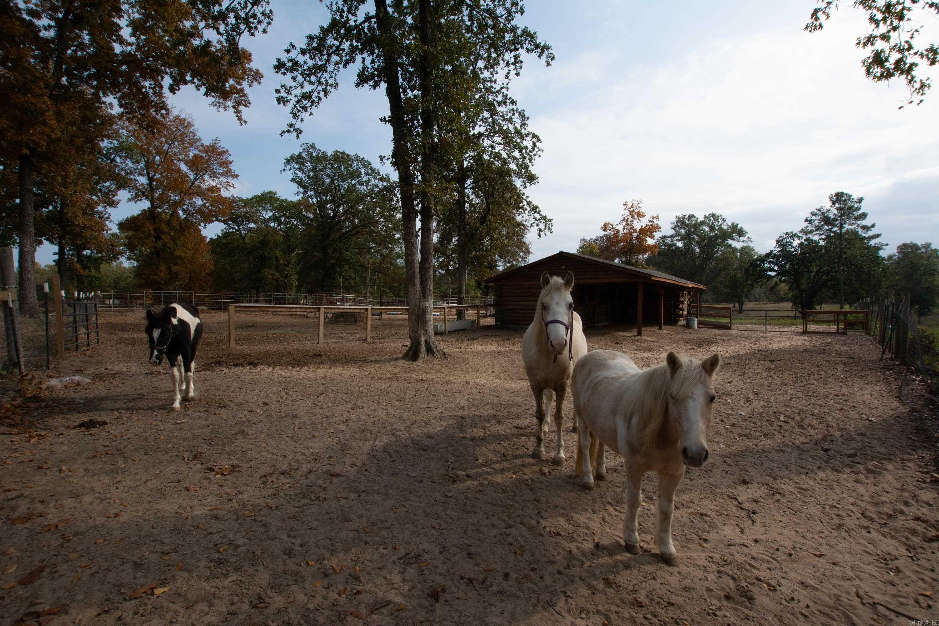 Sardis - Residential