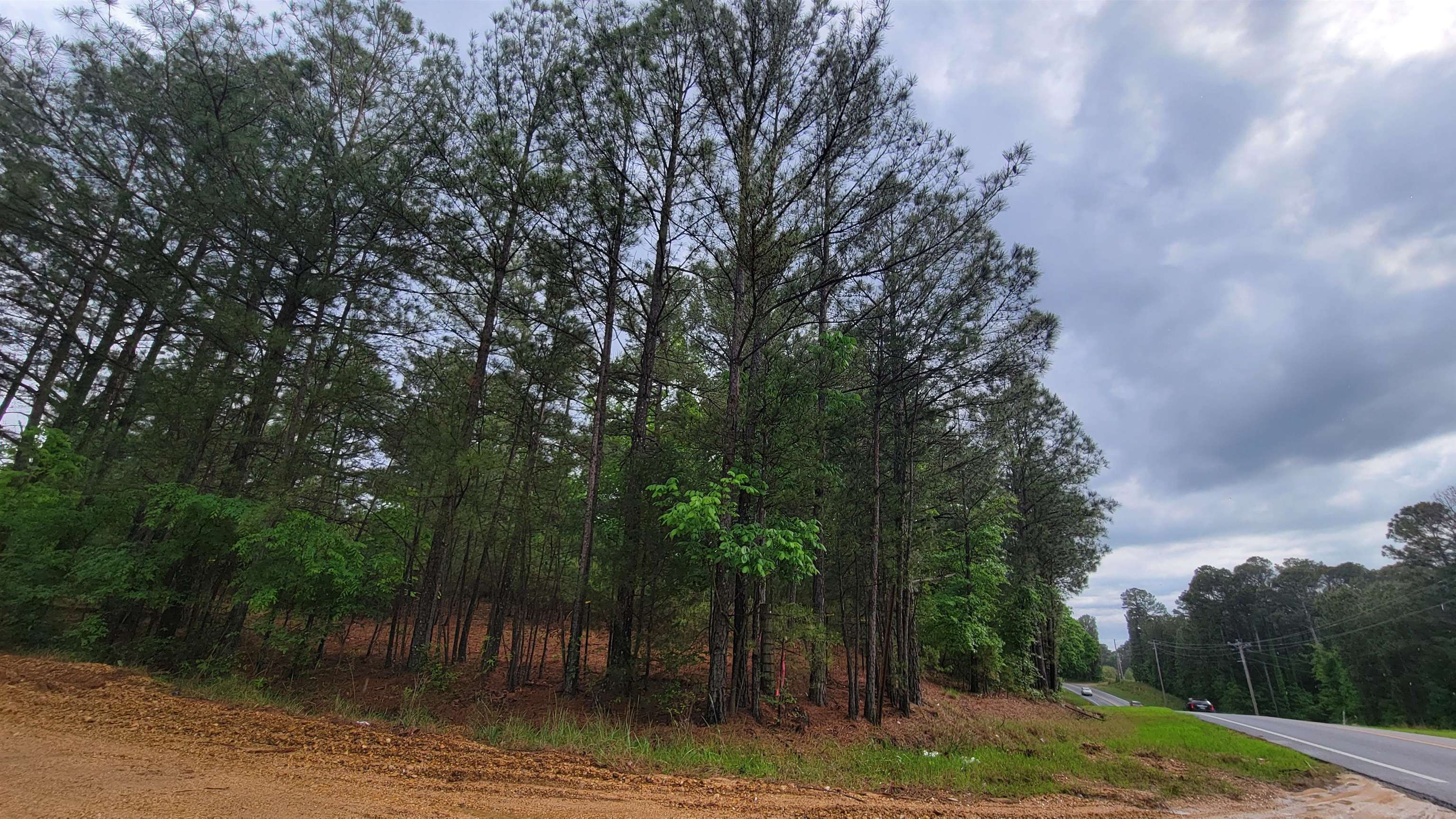 Land for development located at the corner of Highway 351 and County Road 772. No zoning registered to property. Survey available.