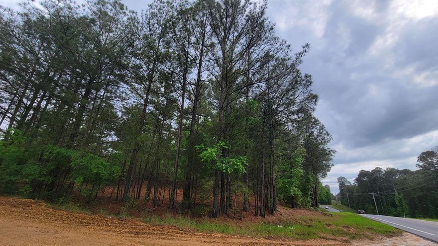 Land for development located at the corner of Highway 351 and County Road 772.  No zoning registered to property. Survey available.