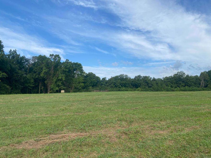 LARGE PARCEL!  Set your sights on this 124.75 acre m/l parcel located just a couple of miles from Mount Ida going toward Story.  The property is mixed pasture & small timber and borders the Ouachita National Forest on the back side.  There are three ponds and a couple of older barn type structures on site. Rural water can be made available through the city of Mount Ida or you may have a well drilled if you prefer. There is currently a well and septic system on the property. Raise cattle, grow a garden, or just live the rural lifestyle on this wonderful parcel.  Call today! $873,250.00