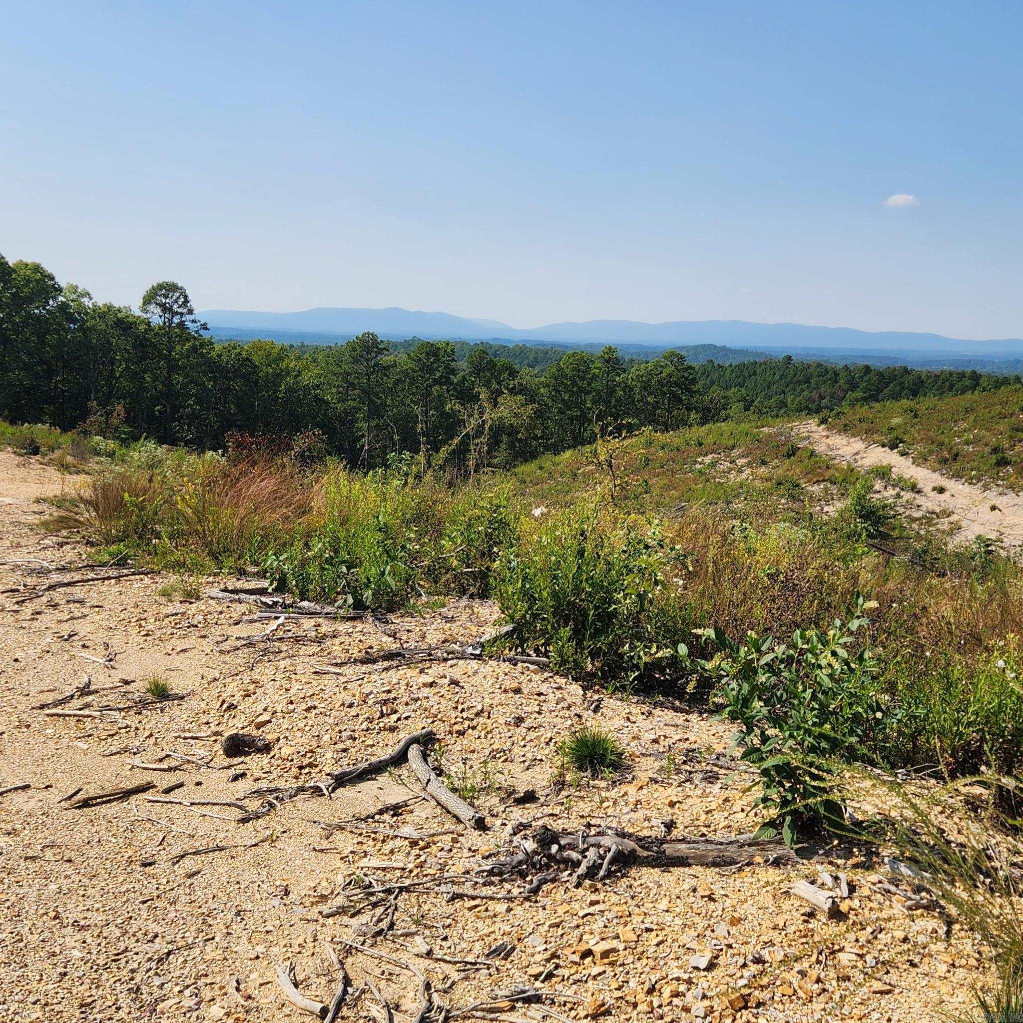 Big Fork Area - Farm