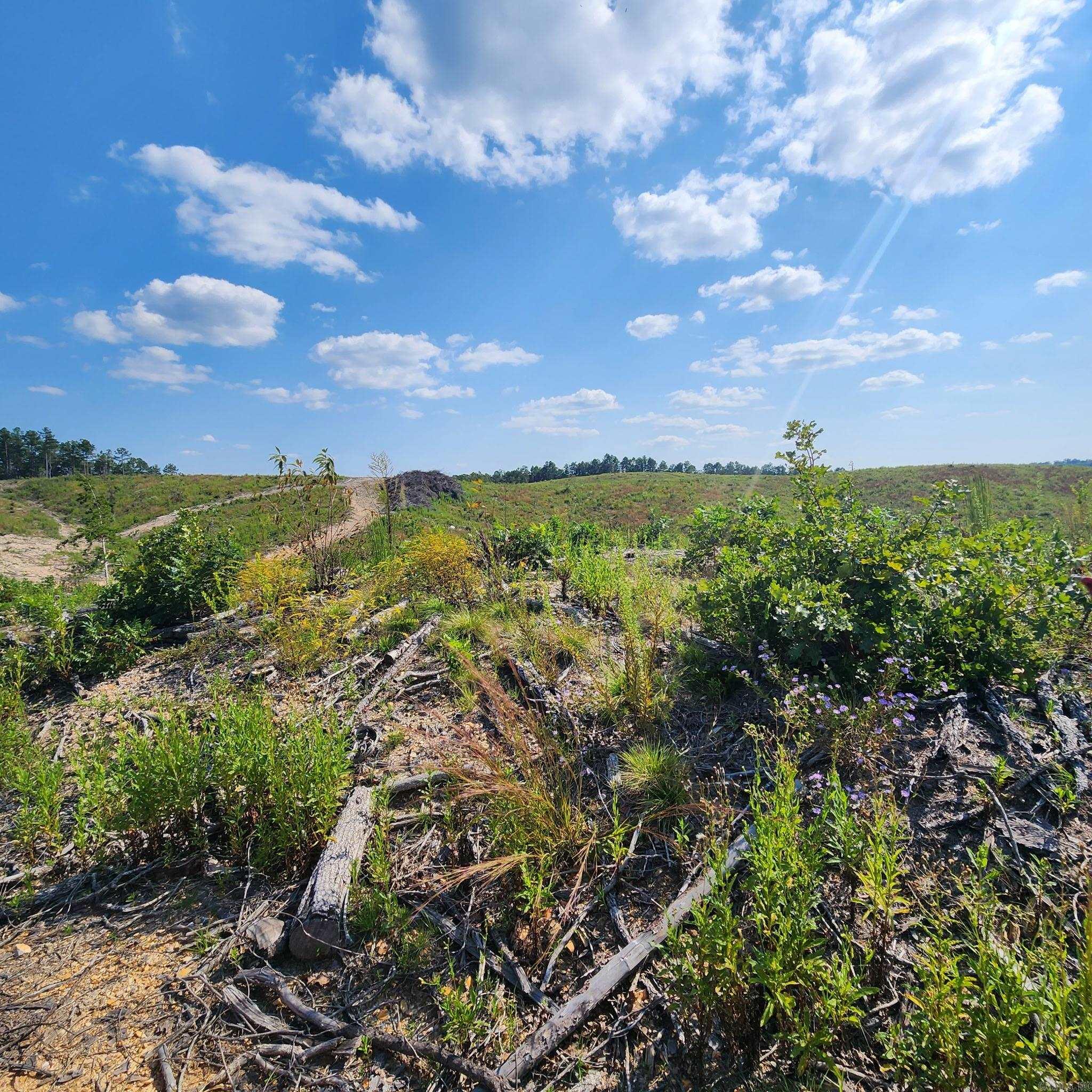 Big Fork Area - Farm